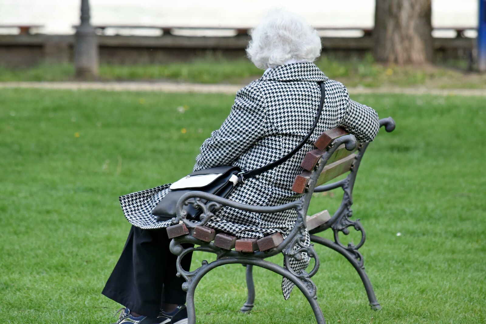 Nikon D5500 sample photo. Bench, elderly, grandmother, pensioner photography
