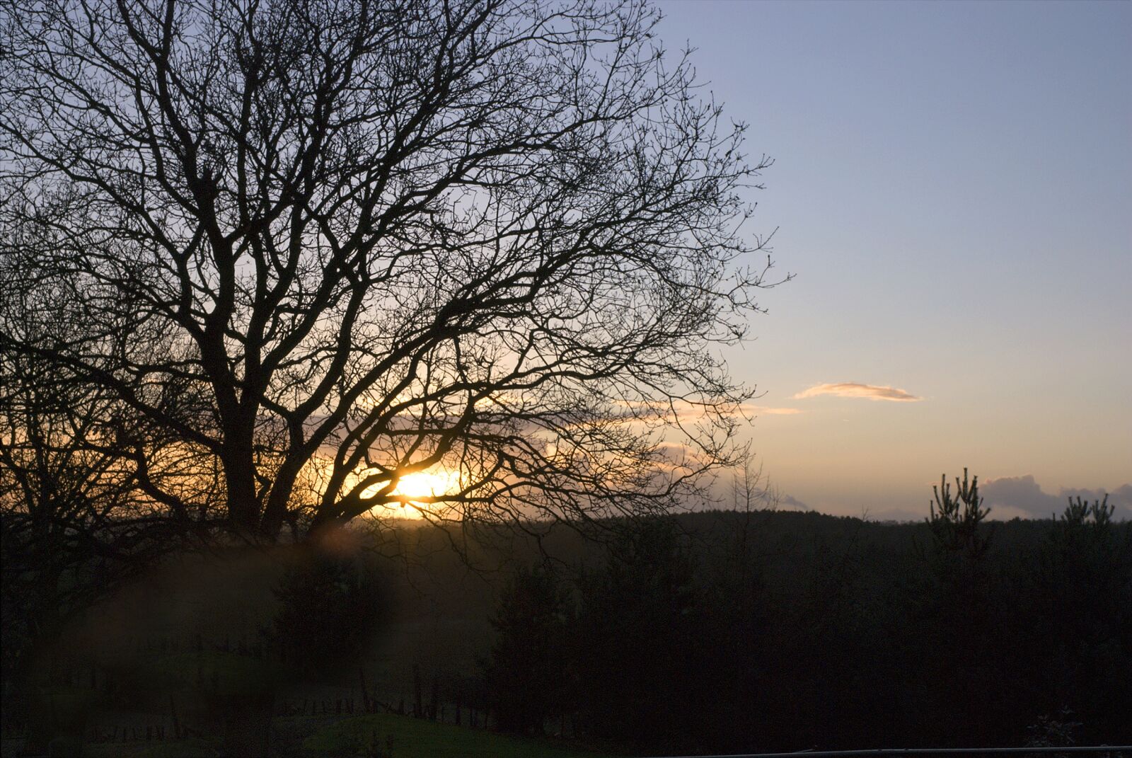 Nikon D80 sample photo. Sunset, tree, sun photography