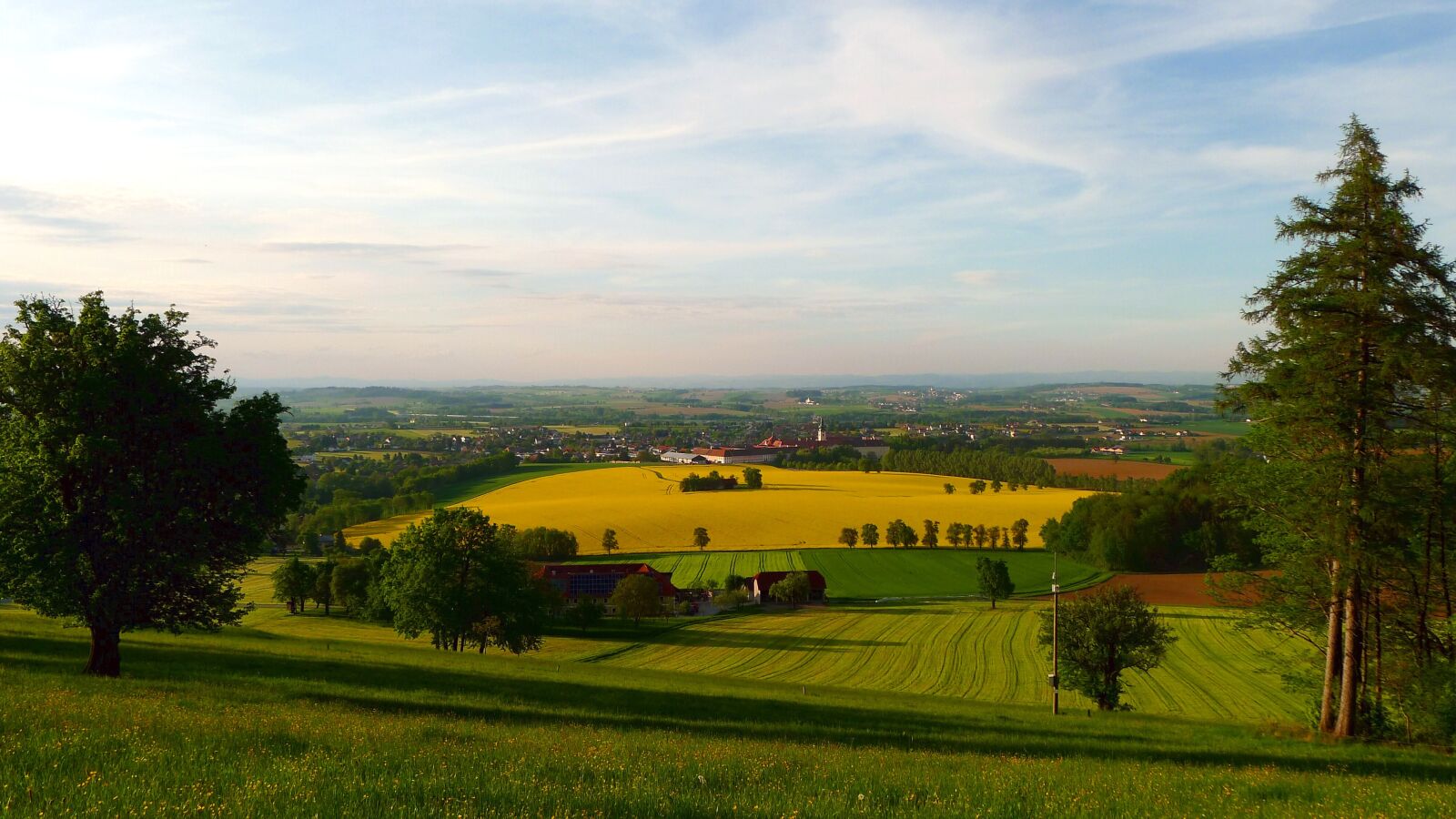 Panasonic Lumix DMC-LX5 sample photo. Spring, blooming rape field photography
