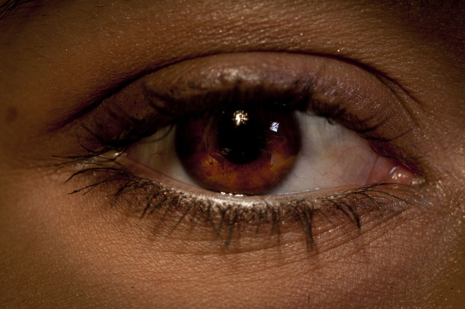 Nikon D300 sample photo. Eye, eyeball, close up photography