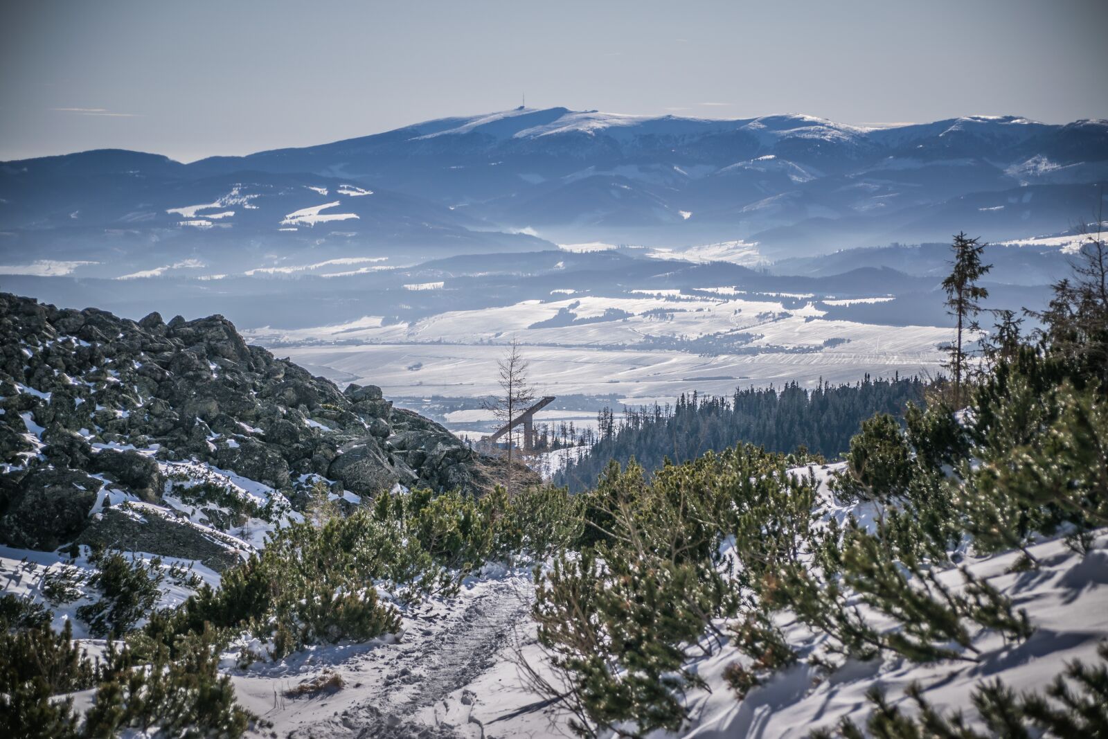Nikon D5300 sample photo. Winter, snow, frost photography