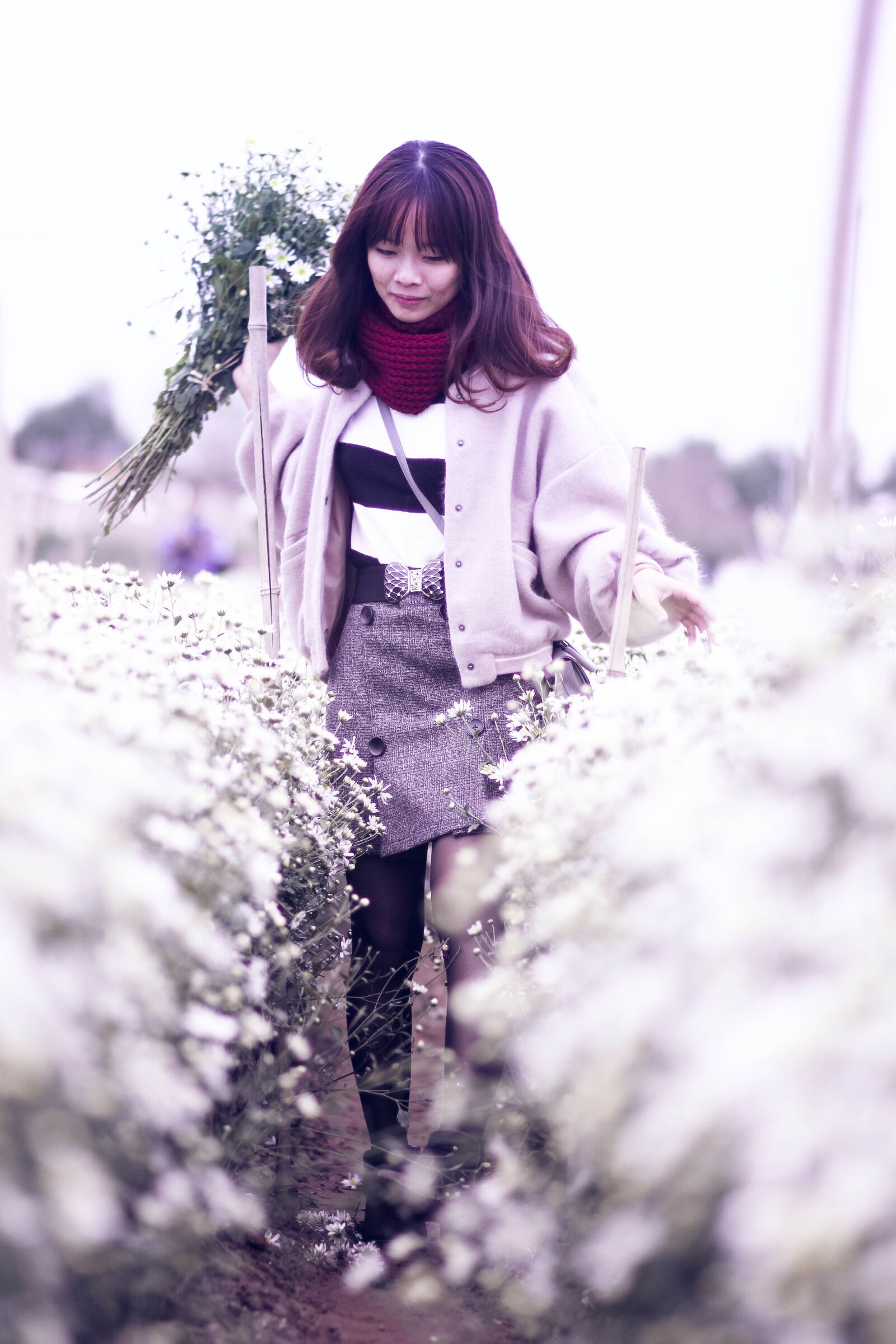 Canon EOS 7D + Canon EF 85mm F1.8 USM sample photo. Chrysanthemum, daisy robins, flower photography