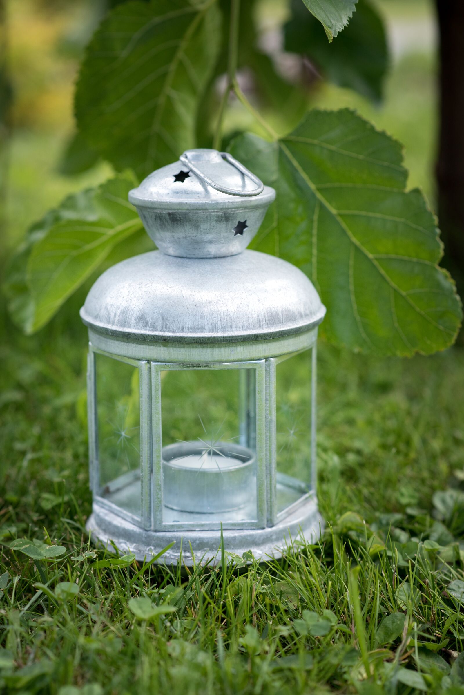 Nikon D750 sample photo. Lantern, bulbs, deco photography