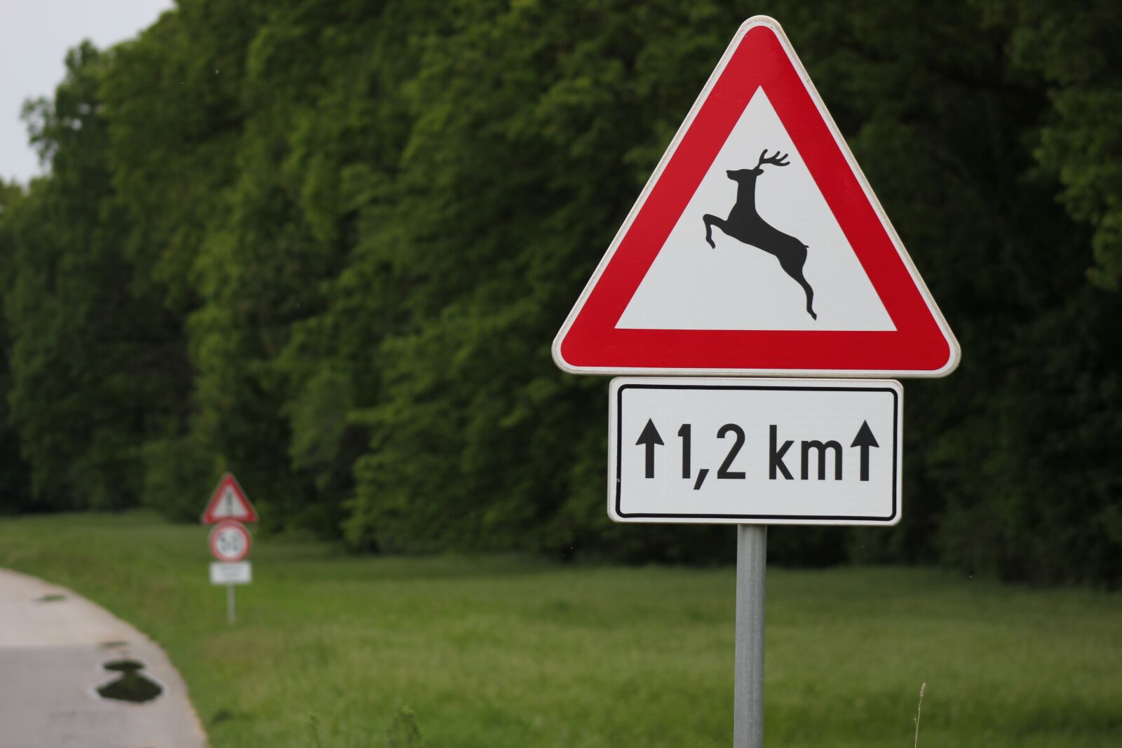 Canon EOS 550D (EOS Rebel T2i / EOS Kiss X4) sample photo. Traffic sign, deer danger photography
