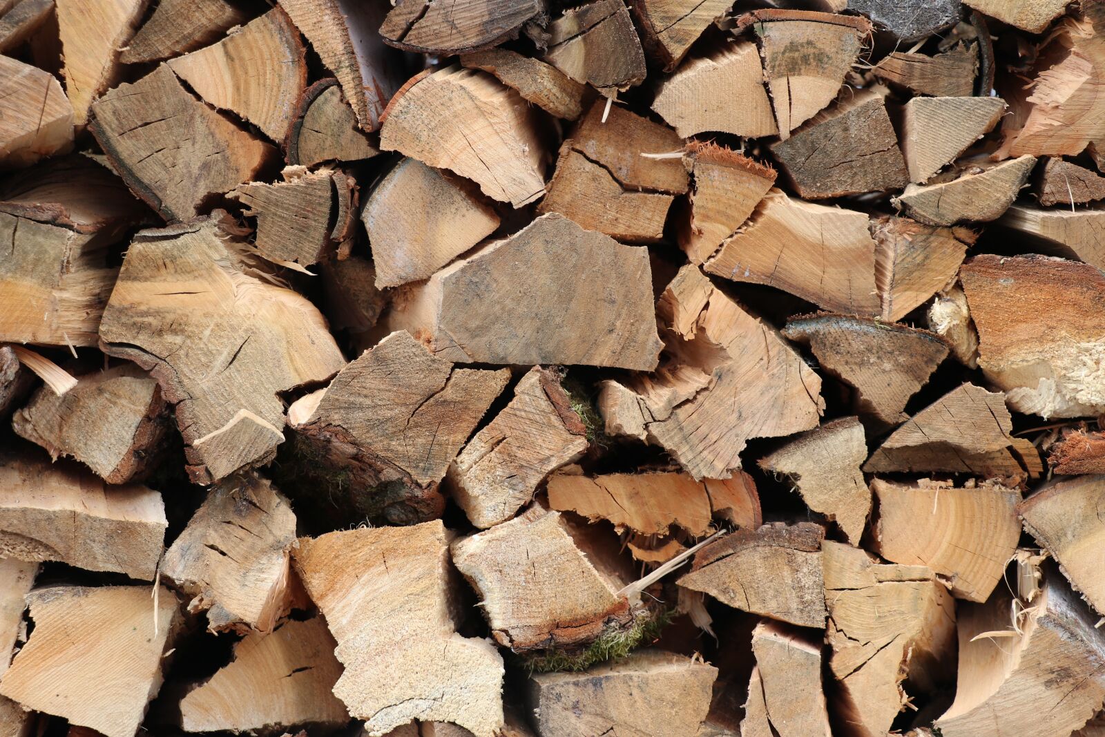 Canon EF-S 18-135mm F3.5-5.6 IS USM sample photo. Woods, pile, firewood photography