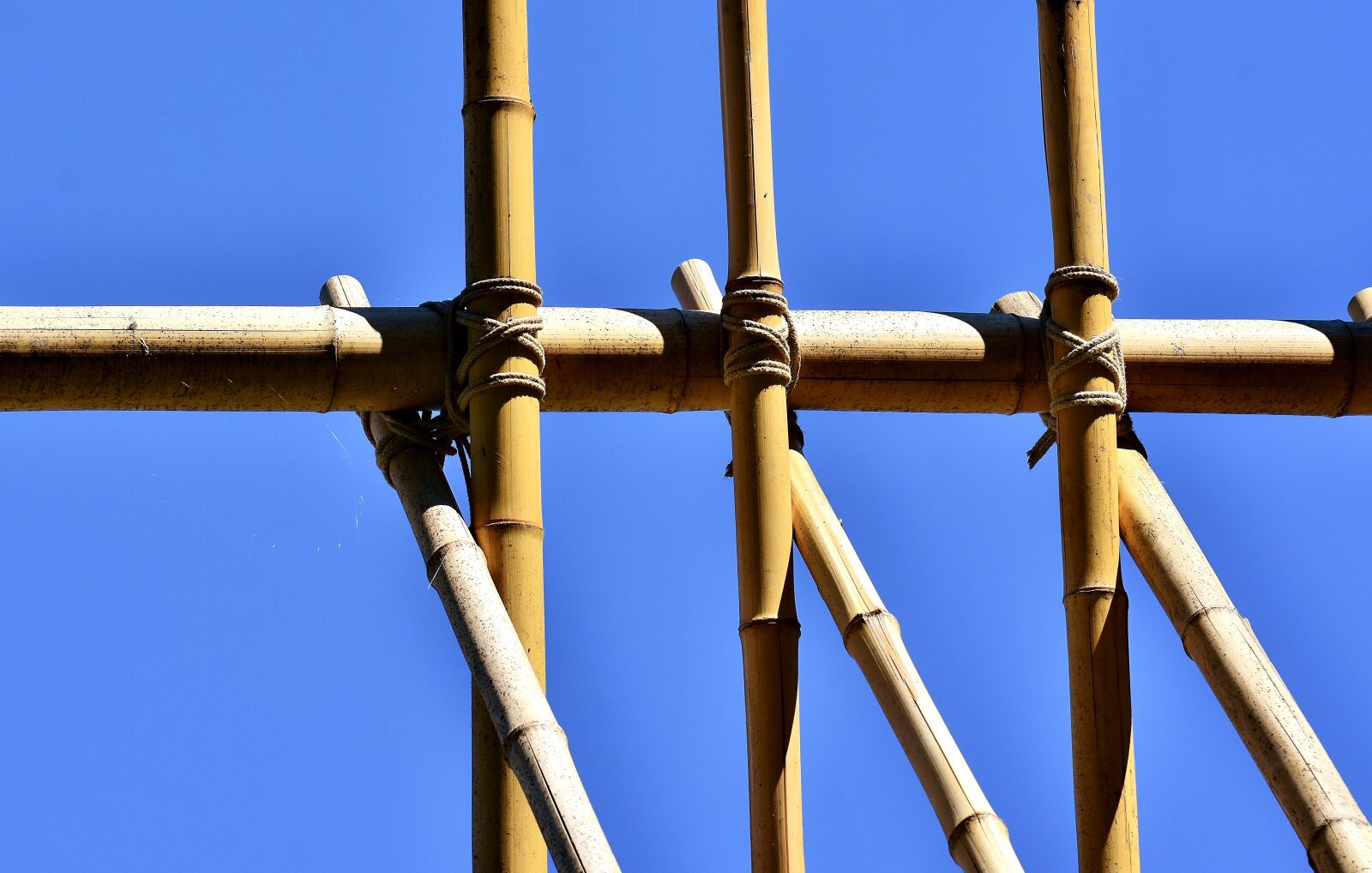 Nikon D7200 sample photo. Bamboo, rods, knotted photography