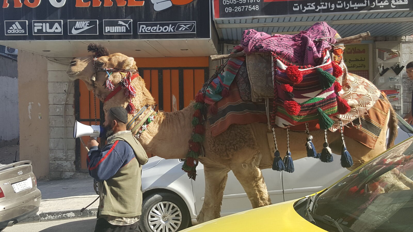 Samsung Galaxy Note5 sample photo