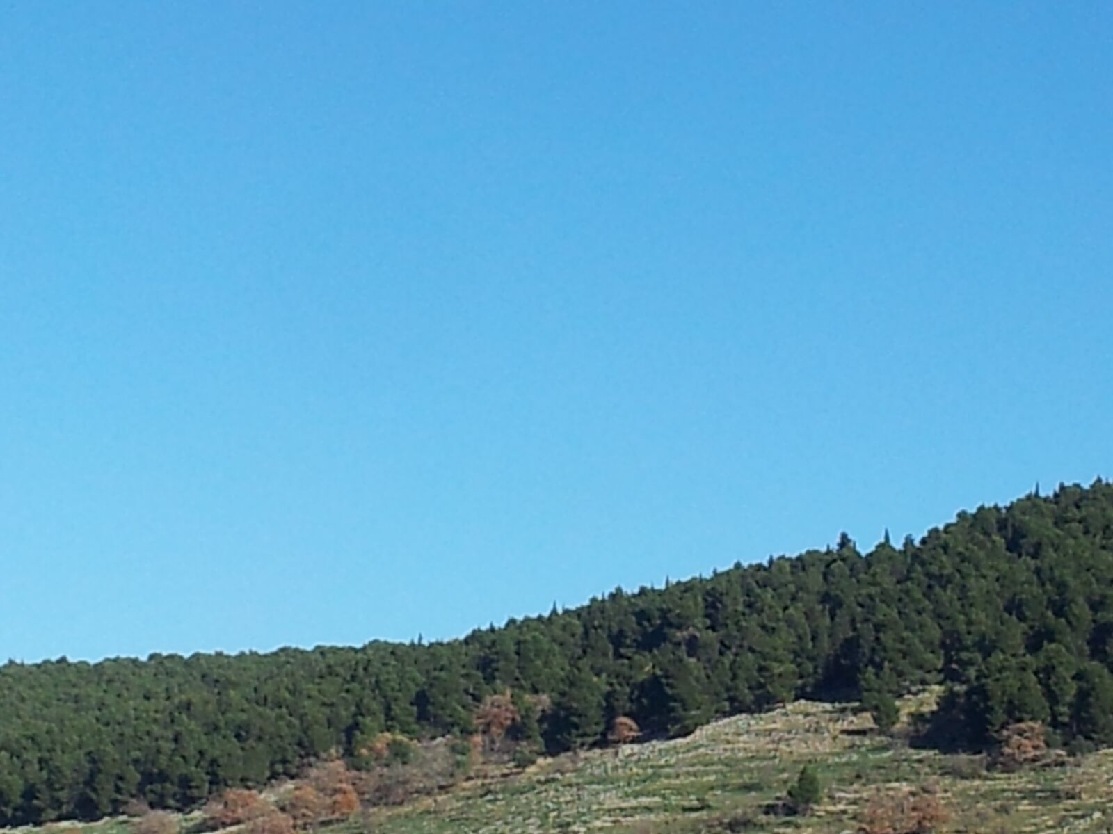 Samsung Galaxy S2 sample photo. Landscape, hill, forest photography