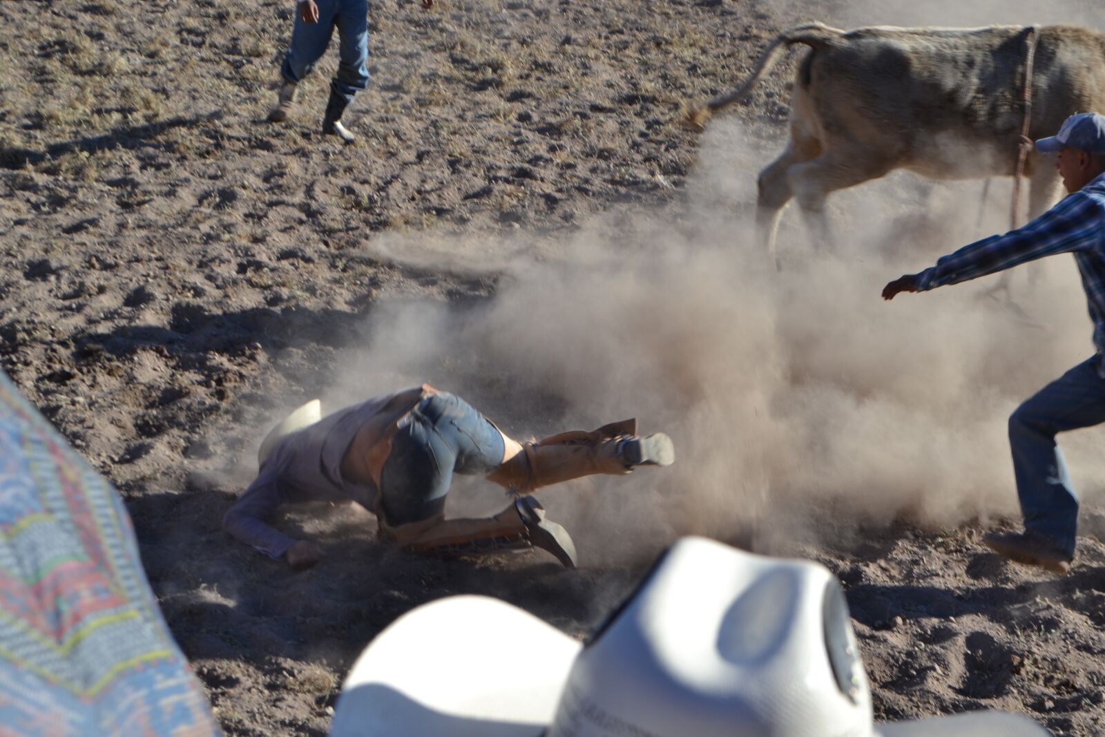 Nikon D3100 sample photo. Rodeo, fall, dust photography