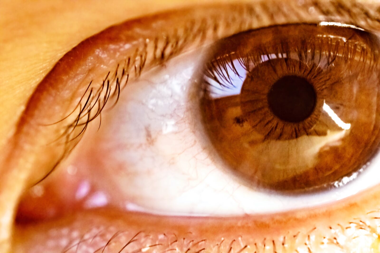 Canon EOS 750D (EOS Rebel T6i / EOS Kiss X8i) sample photo. My eye photography