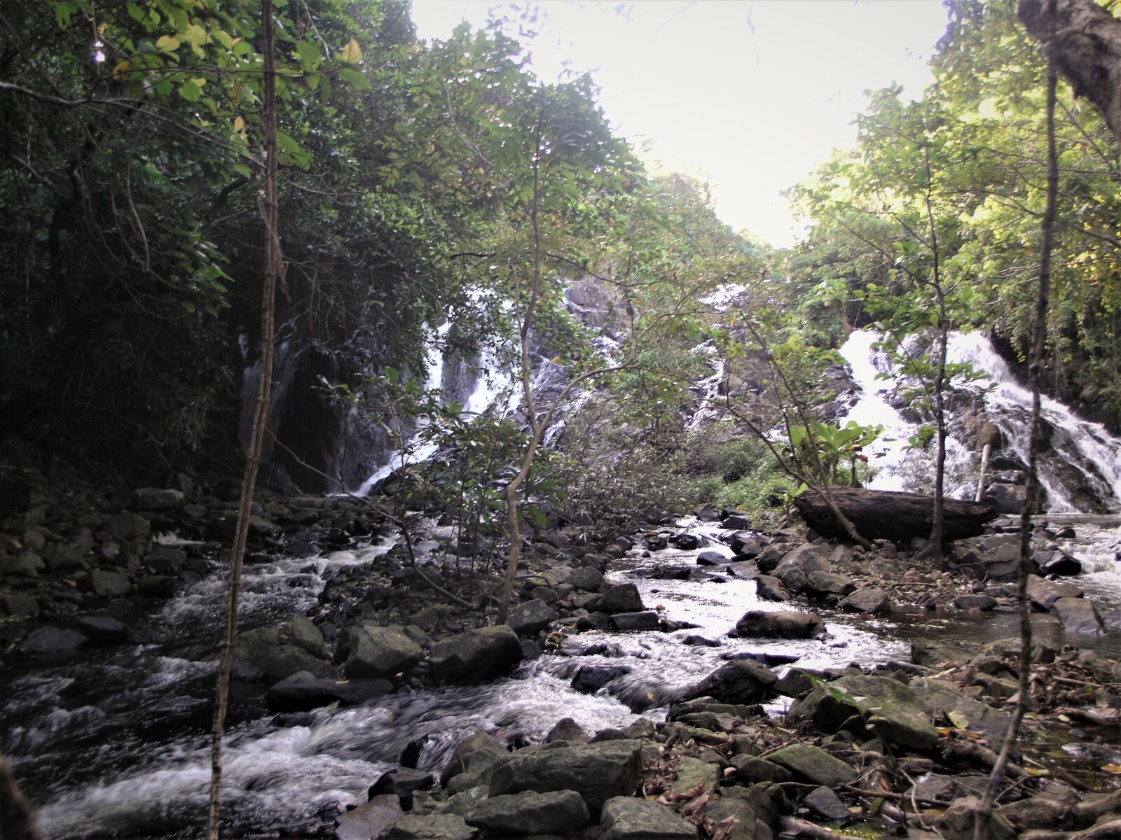Olympus C8080WZ sample photo. Waterfall, rainforest, beauty photography