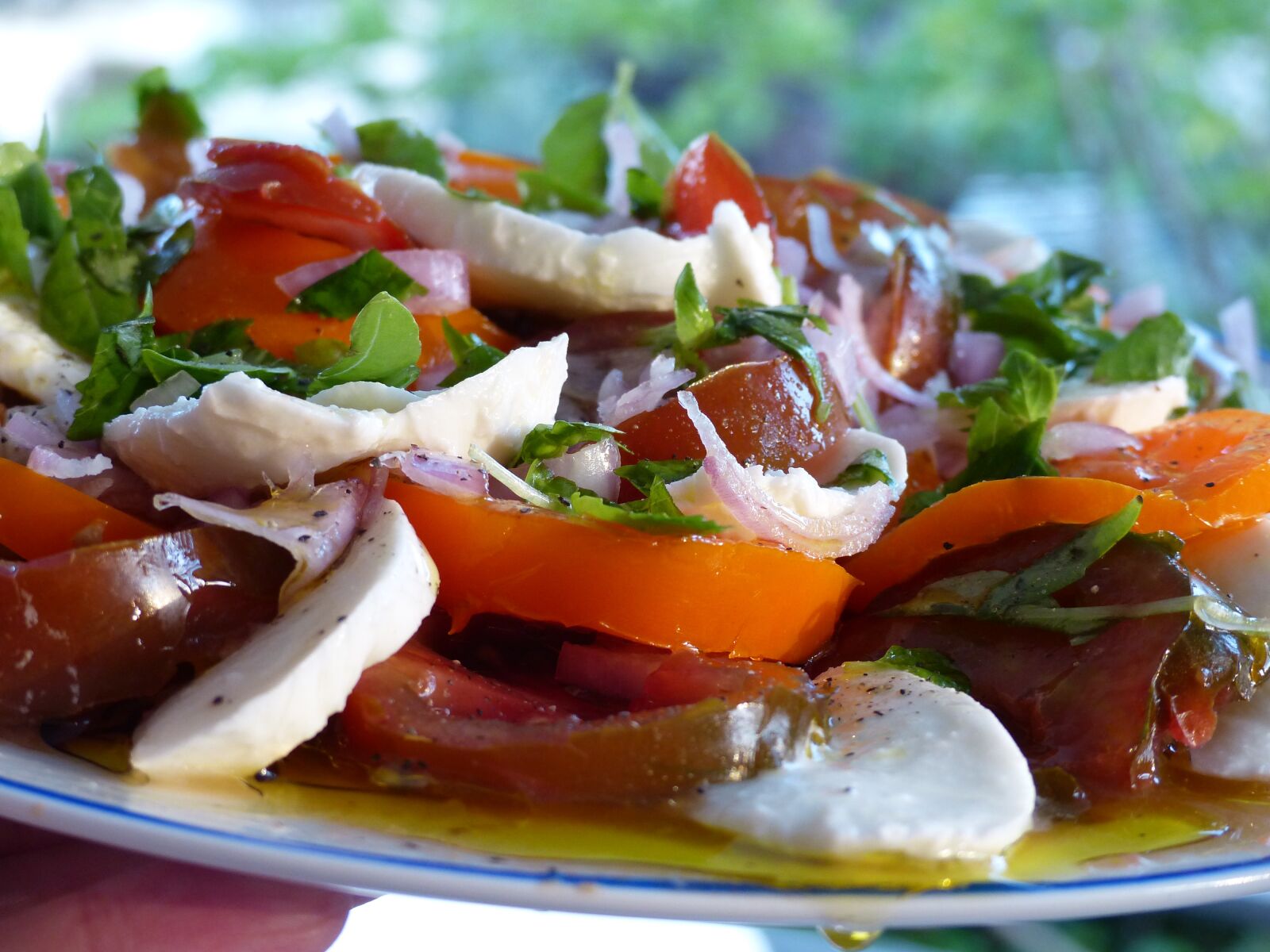 Panasonic Lumix DMC-FZ200 sample photo. Tomato, flat, salad photography