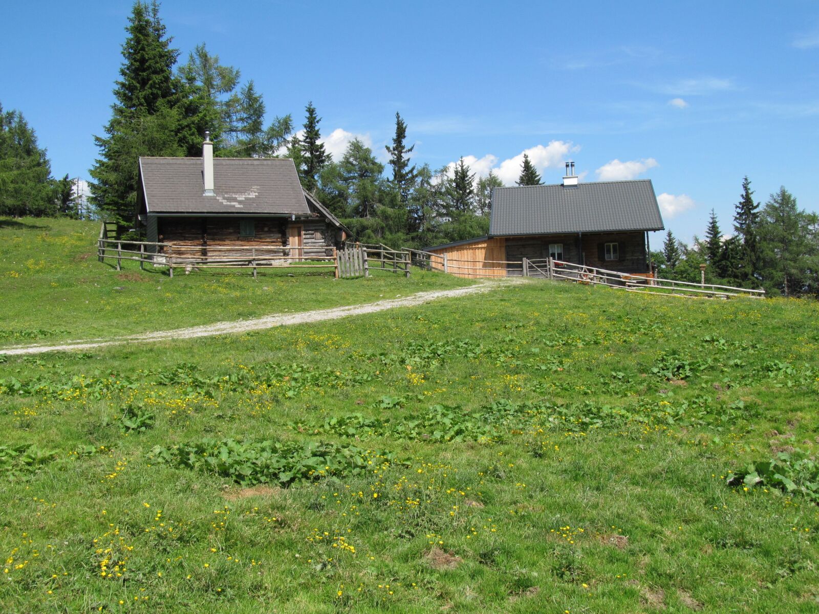 Canon PowerShot SX150 IS sample photo. Summer, alm, mountain photography