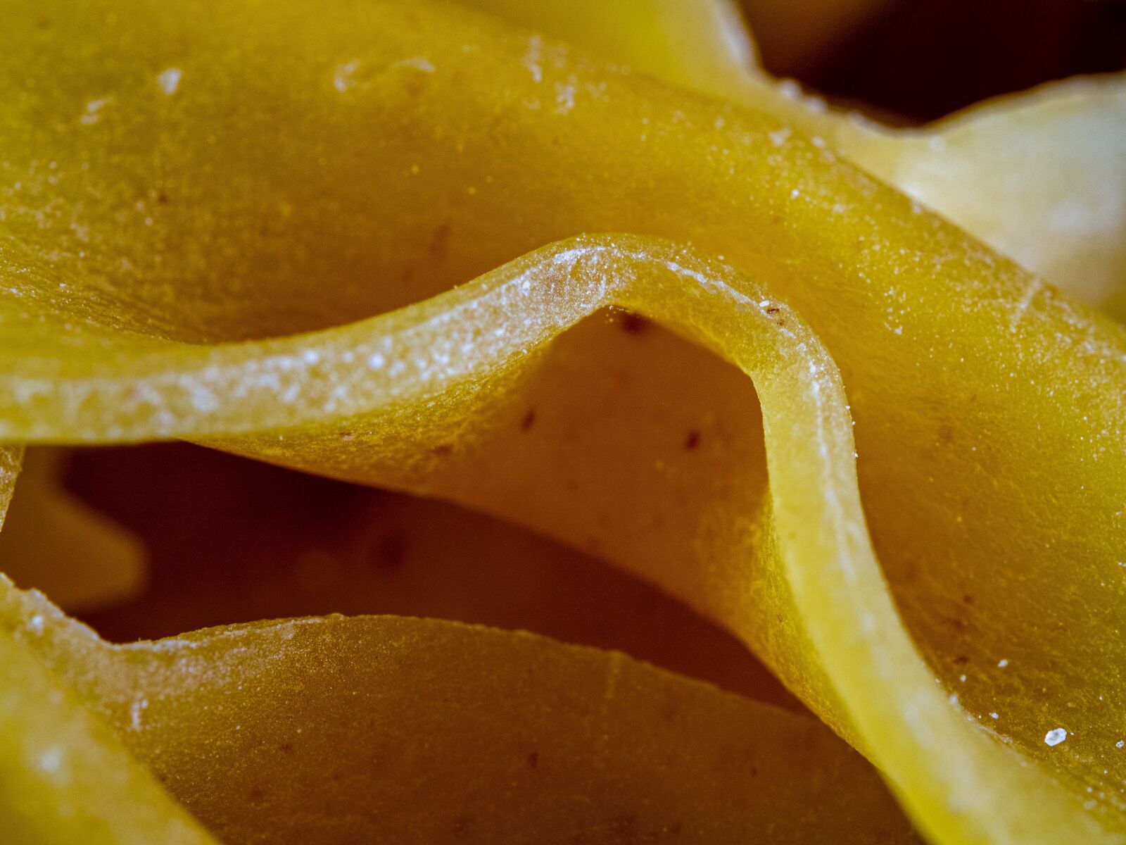 Olympus M.Zuiko Digital ED 60mm F2.8 Macro sample photo. Macro, pasta, wave photography