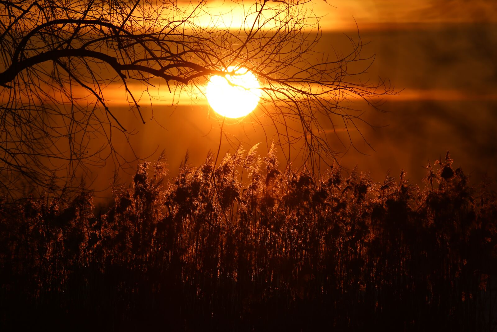 Canon EF 100-400mm F4.5-5.6L IS USM sample photo. Sunrise, sun, morning photography