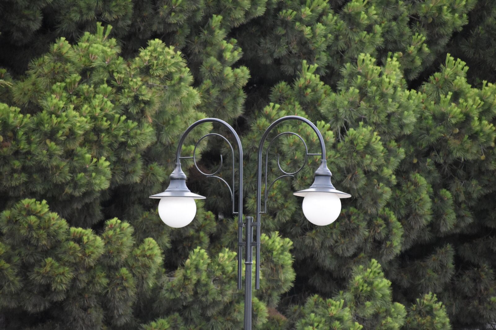 Nikon D3400 sample photo. Lantern, street, design photography