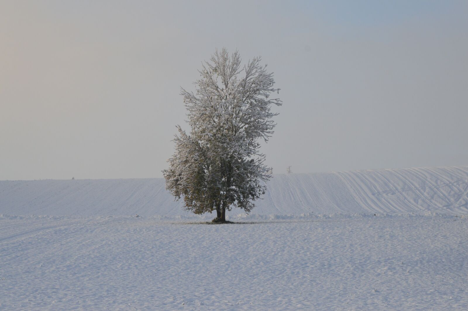 Nikon D3200 sample photo. Isolated tree, winter landscape photography