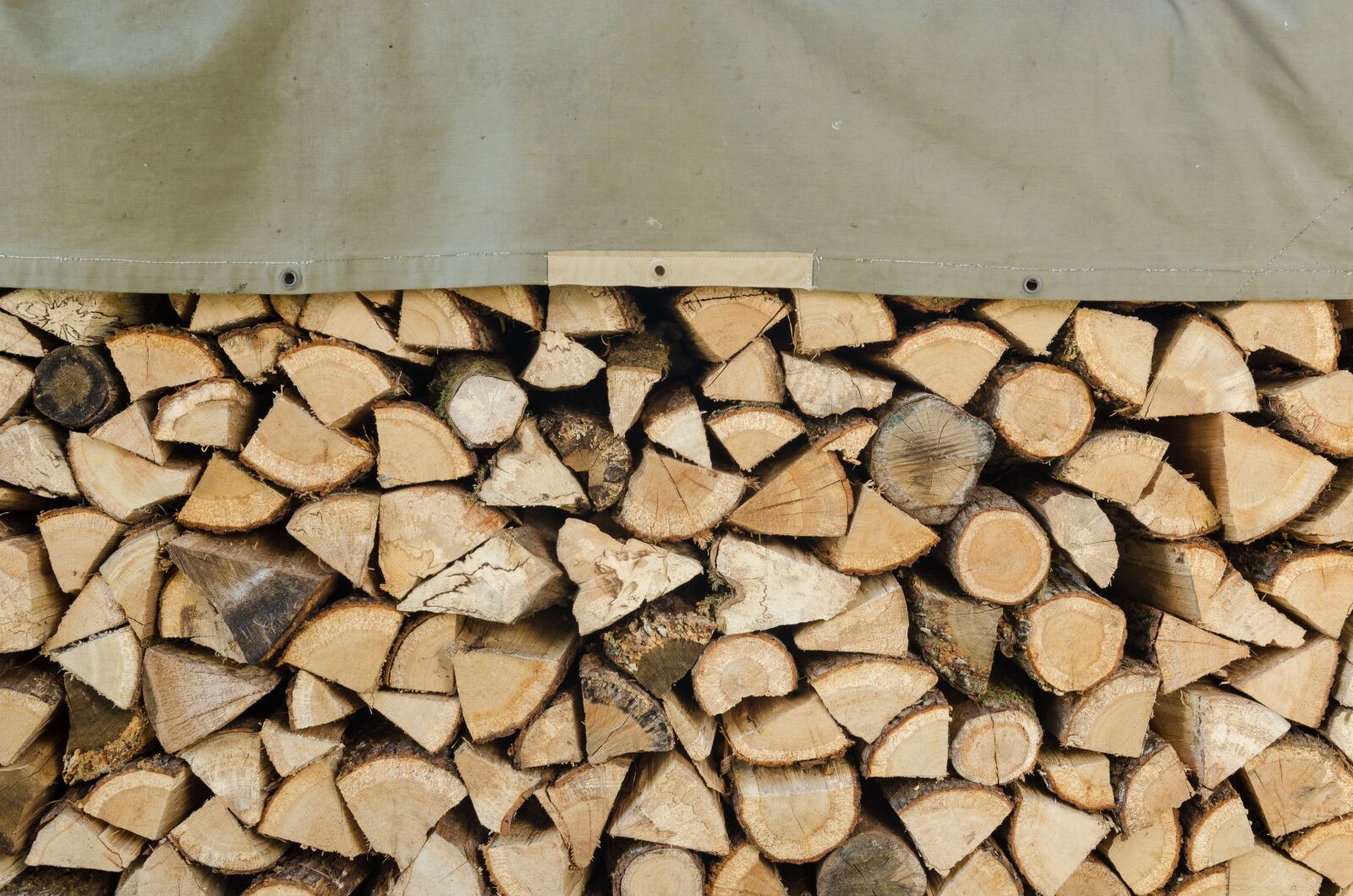 Nikon D7000 sample photo. Wood, heap, stere photography