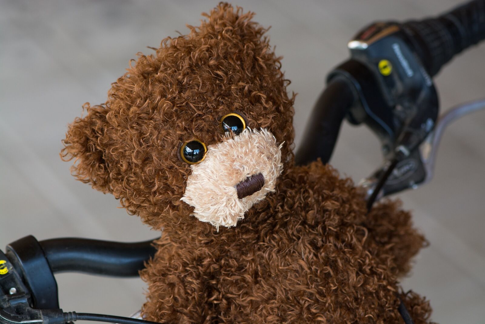 Nikon D7100 sample photo. Teddy, teddy bear, brown photography