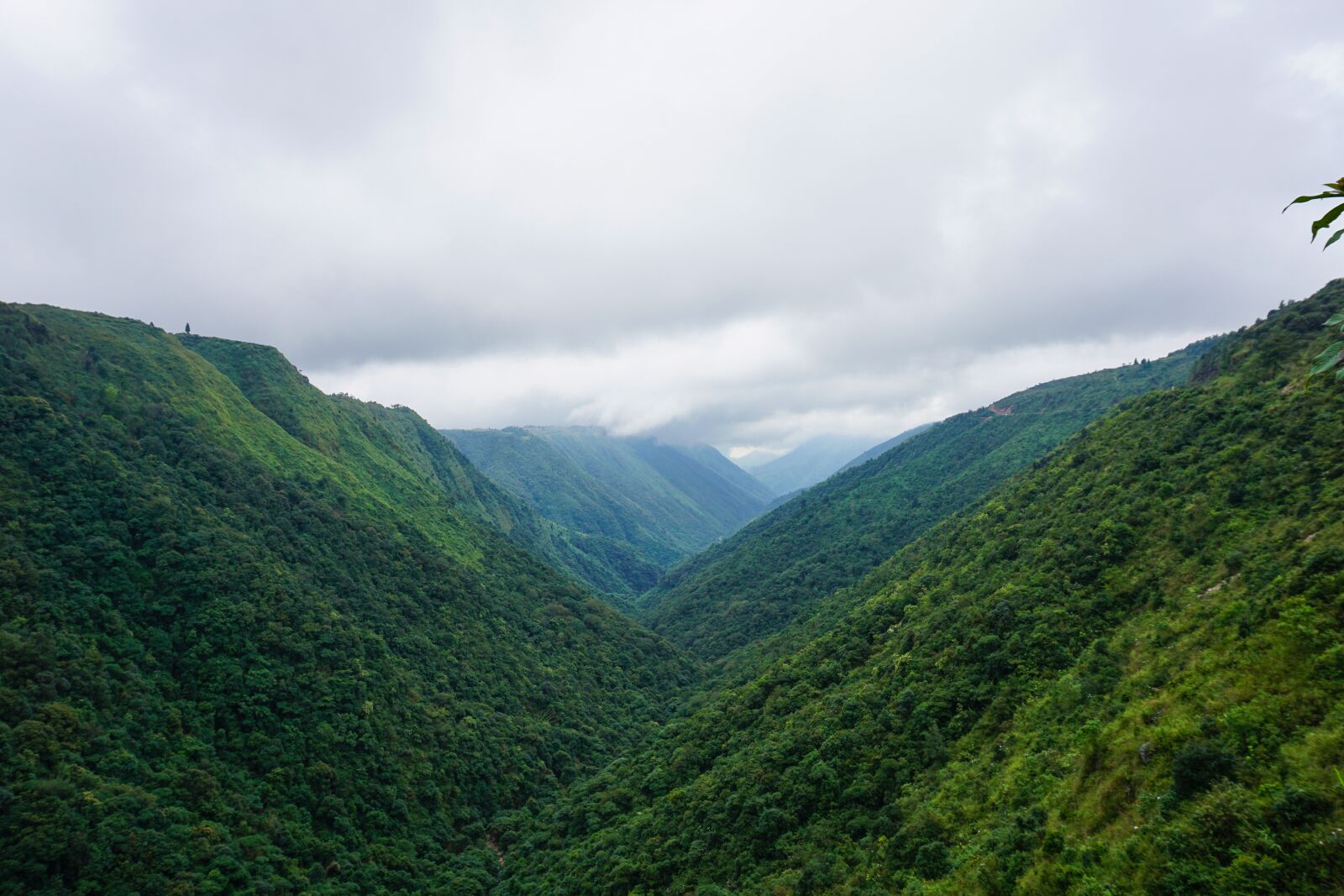 Sony E 16-50mm F3.5-5.6 PZ OSS sample photo. Shillong, cloud, cherapunji photography
