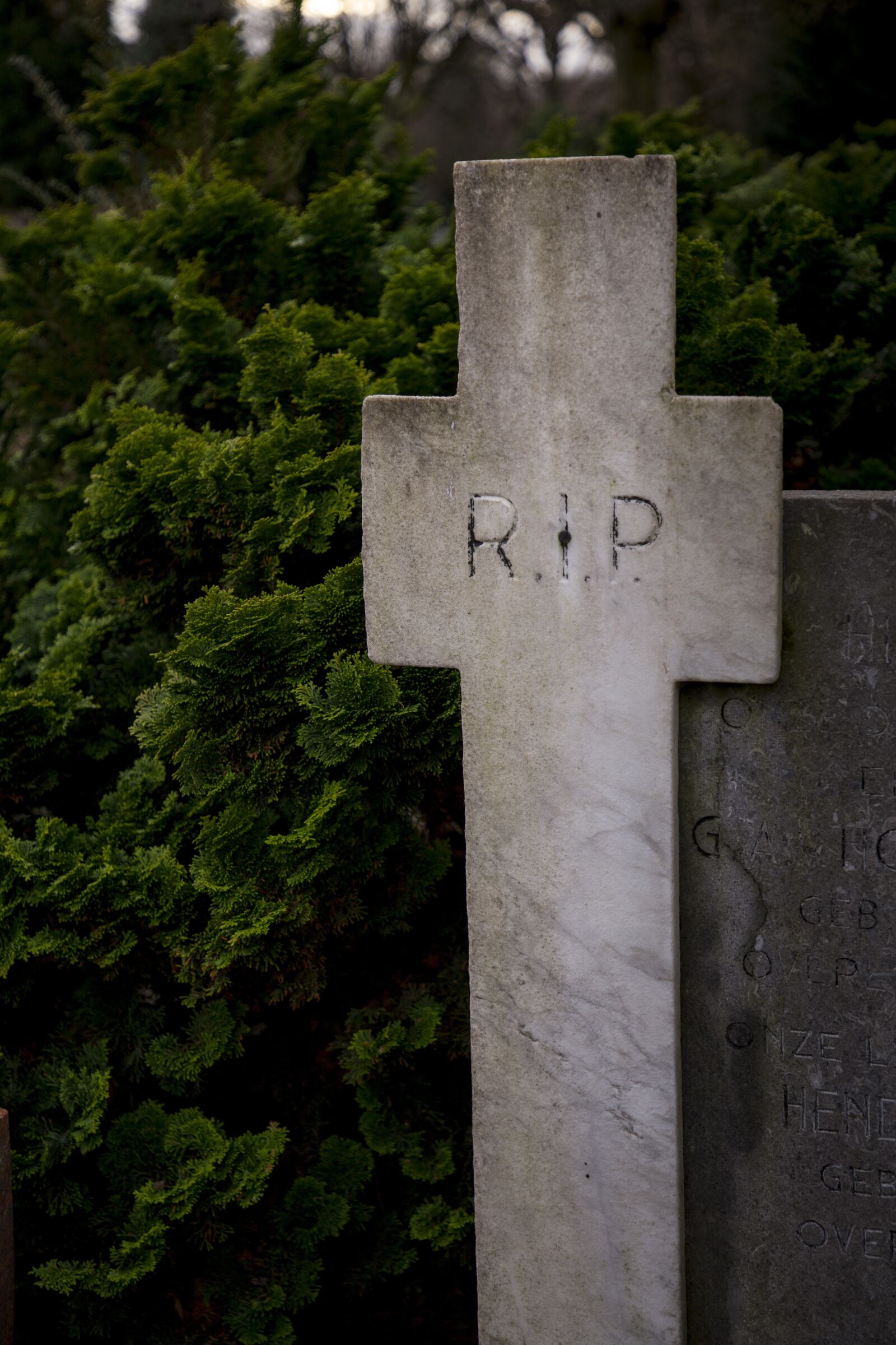 Canon EF 24-105mm F4L IS II USM sample photo. Grave, cemetery, rip photography