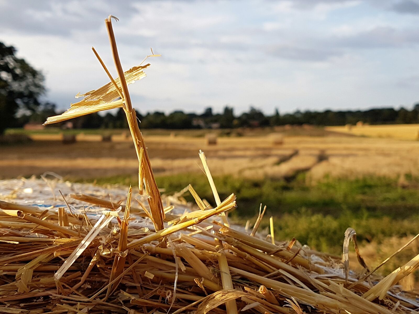 Samsung Galaxy S7 Edge sample photo. Straw, landscape, harvest photography
