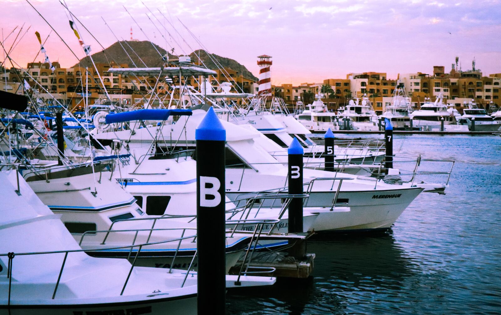 Canon EOS M50 (EOS Kiss M) sample photo. The marina, san jose photography