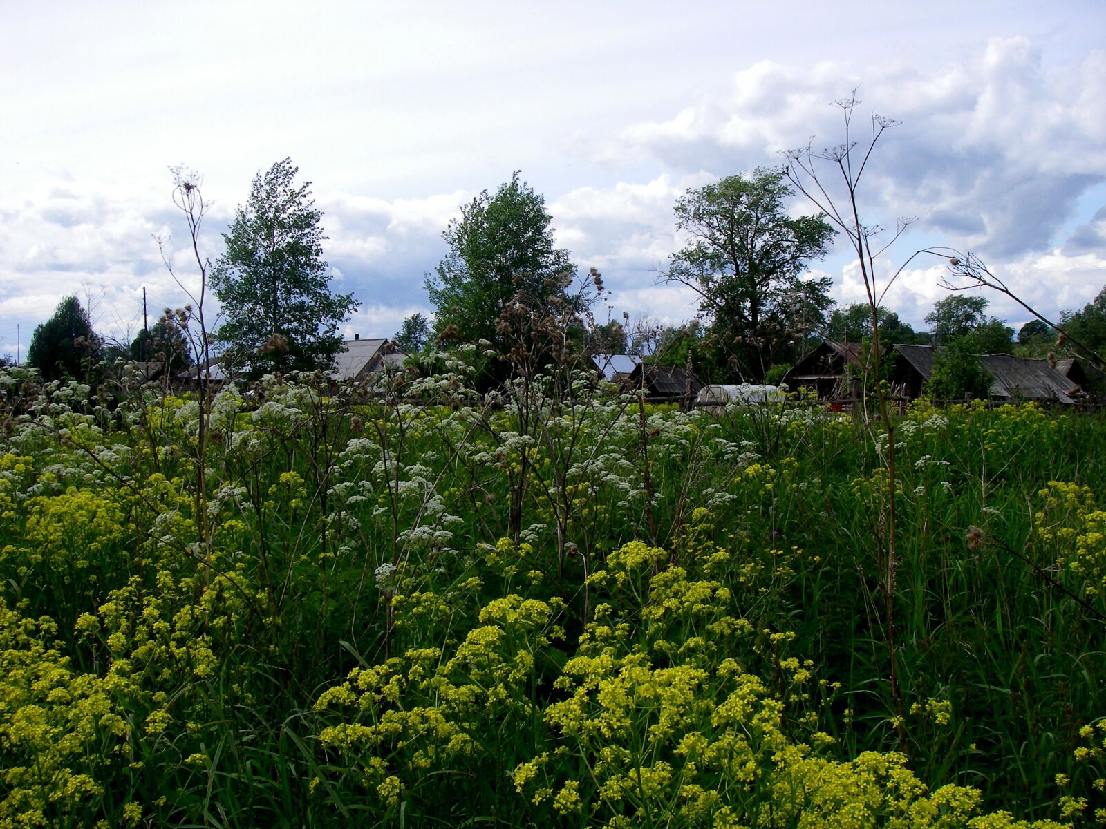 Pentax OPTIO W20 sample photo. Twilight, village, meadow photography