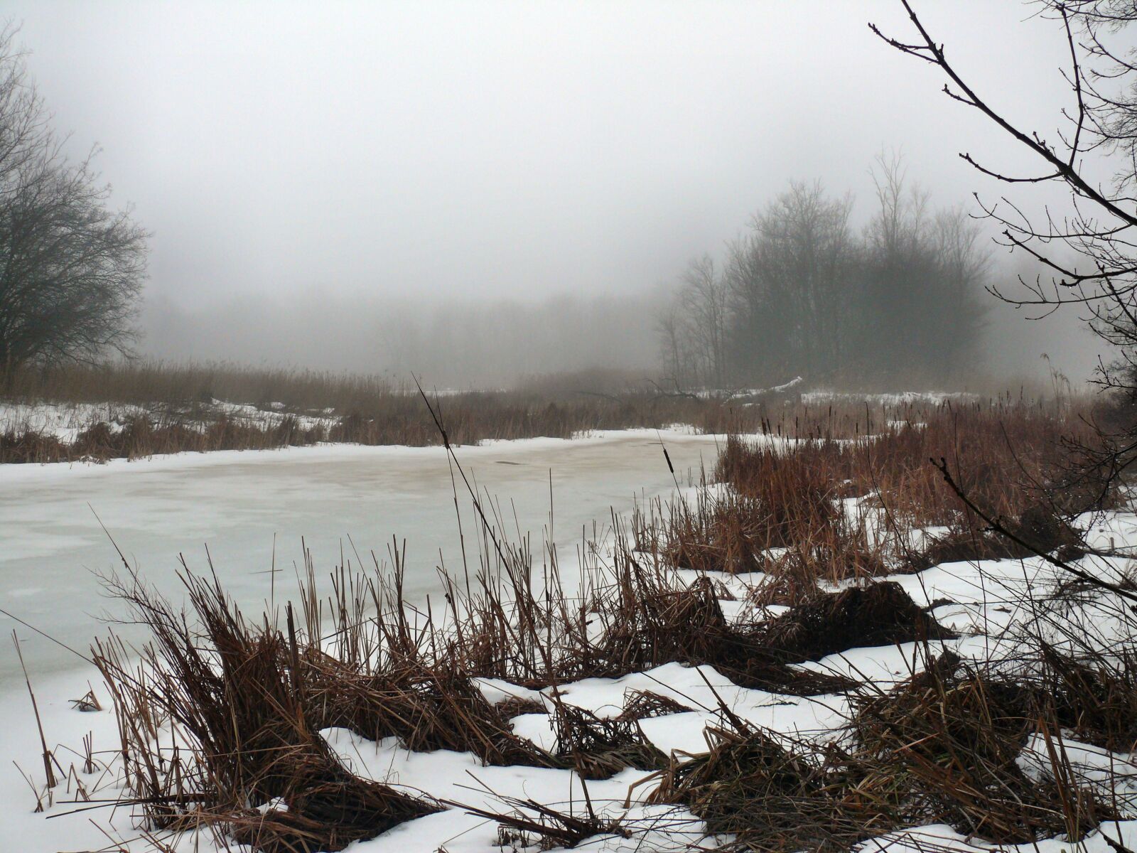 Panasonic DMC-FZ50 sample photo. Lake photography