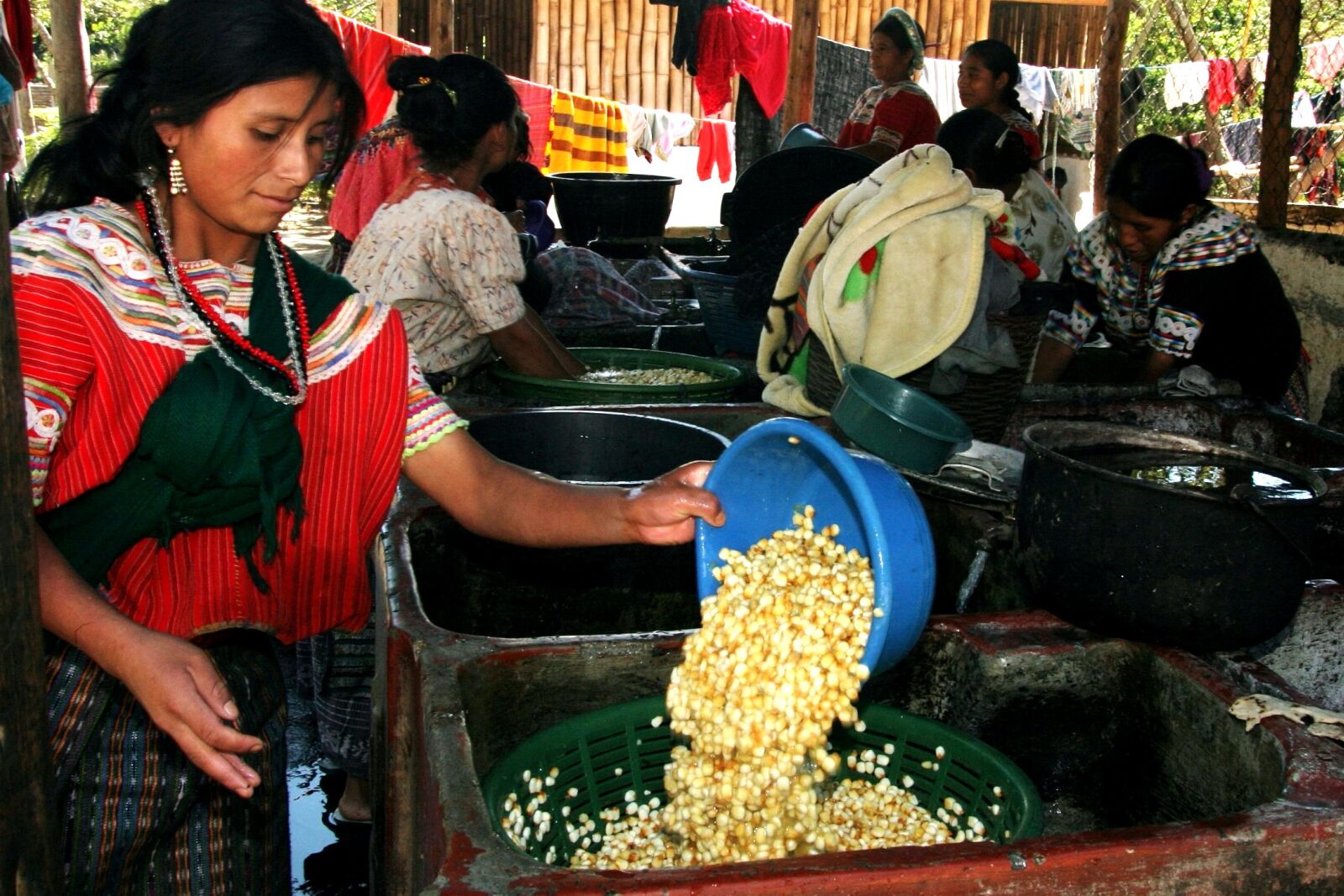 Canon EOS 20D sample photo. Young woman, washing, corn photography