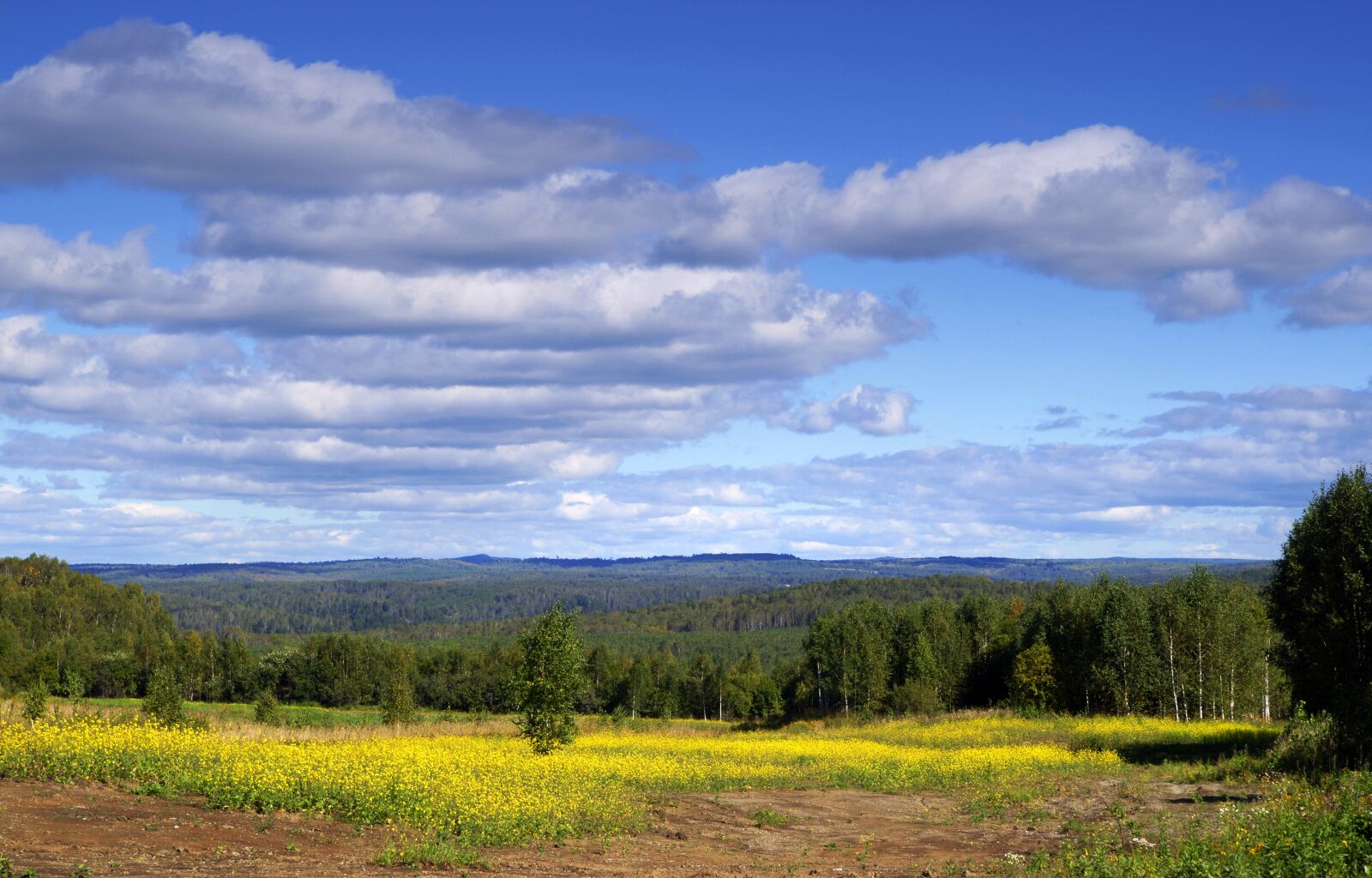 Sony Alpha DSLR-A850 sample photo. Field, sky, nature photography