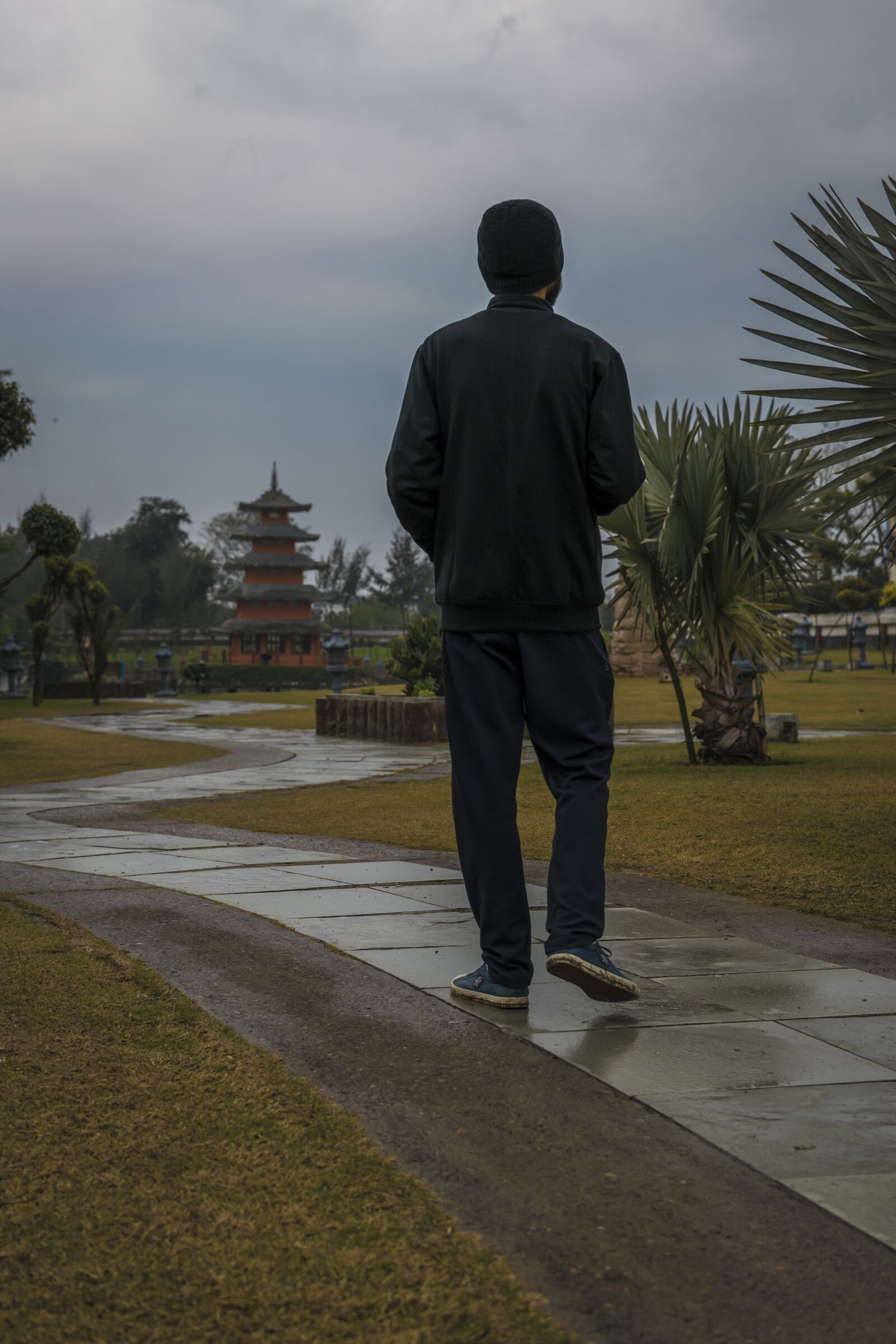 Nikon D3300 sample photo. Man, walking, after photography