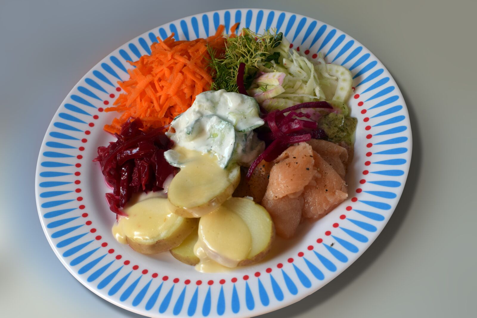 Nikon D5300 sample photo. Salmon, the raw salmon photography