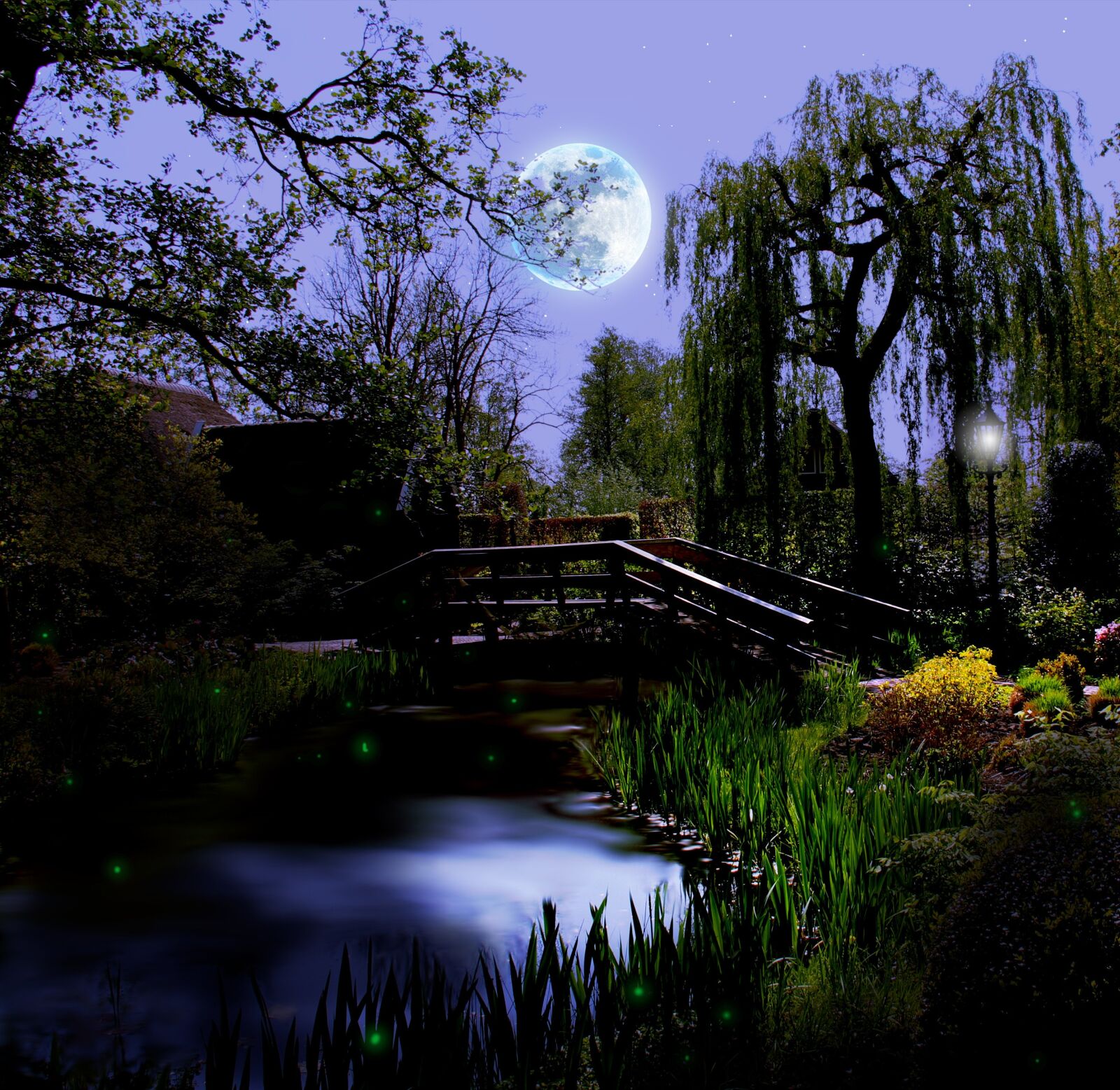 Canon EF-S 18-135mm F3.5-5.6 IS sample photo. Night, nature, garden photography
