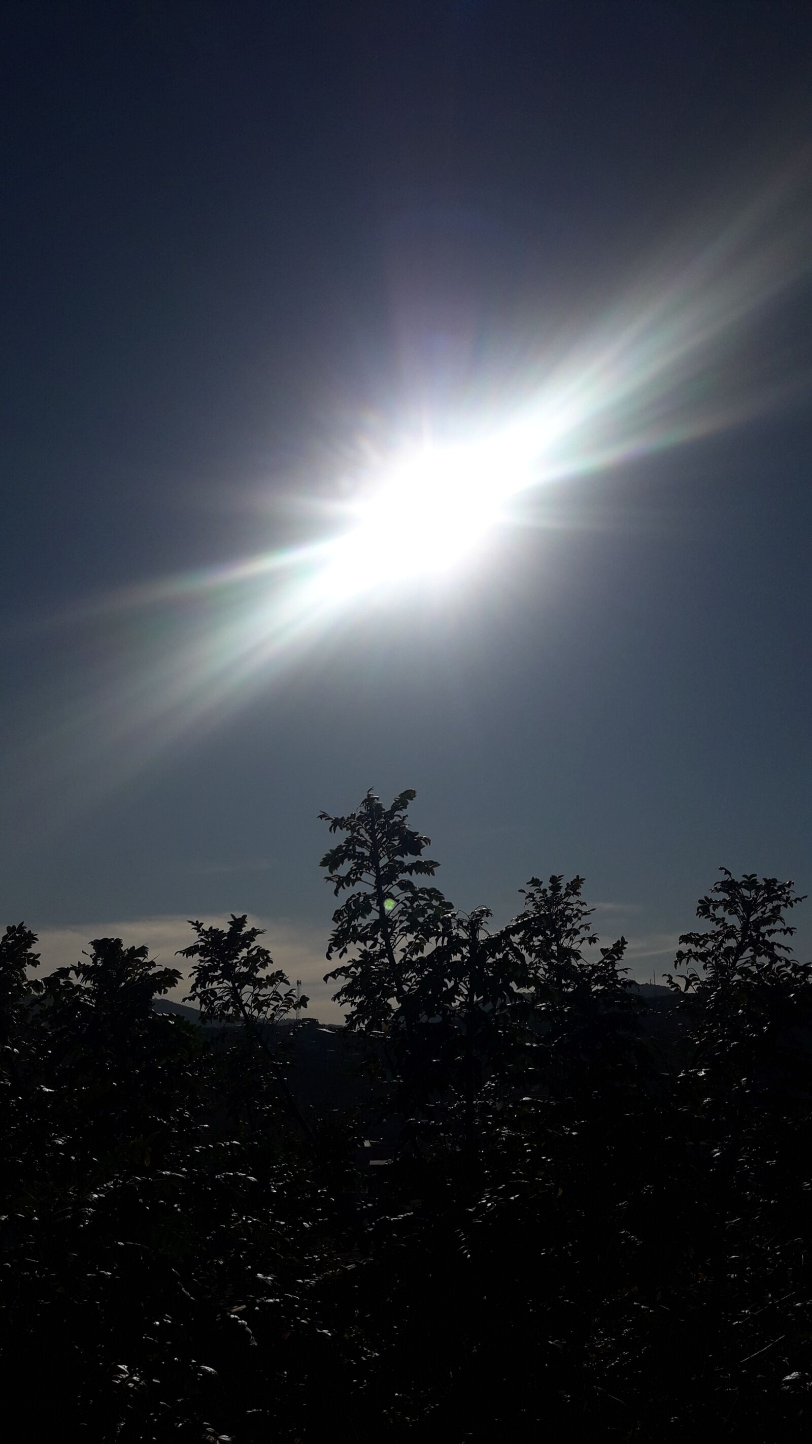 Samsung Galaxy J7 Neo sample photo. Beautiful, day, nature photography