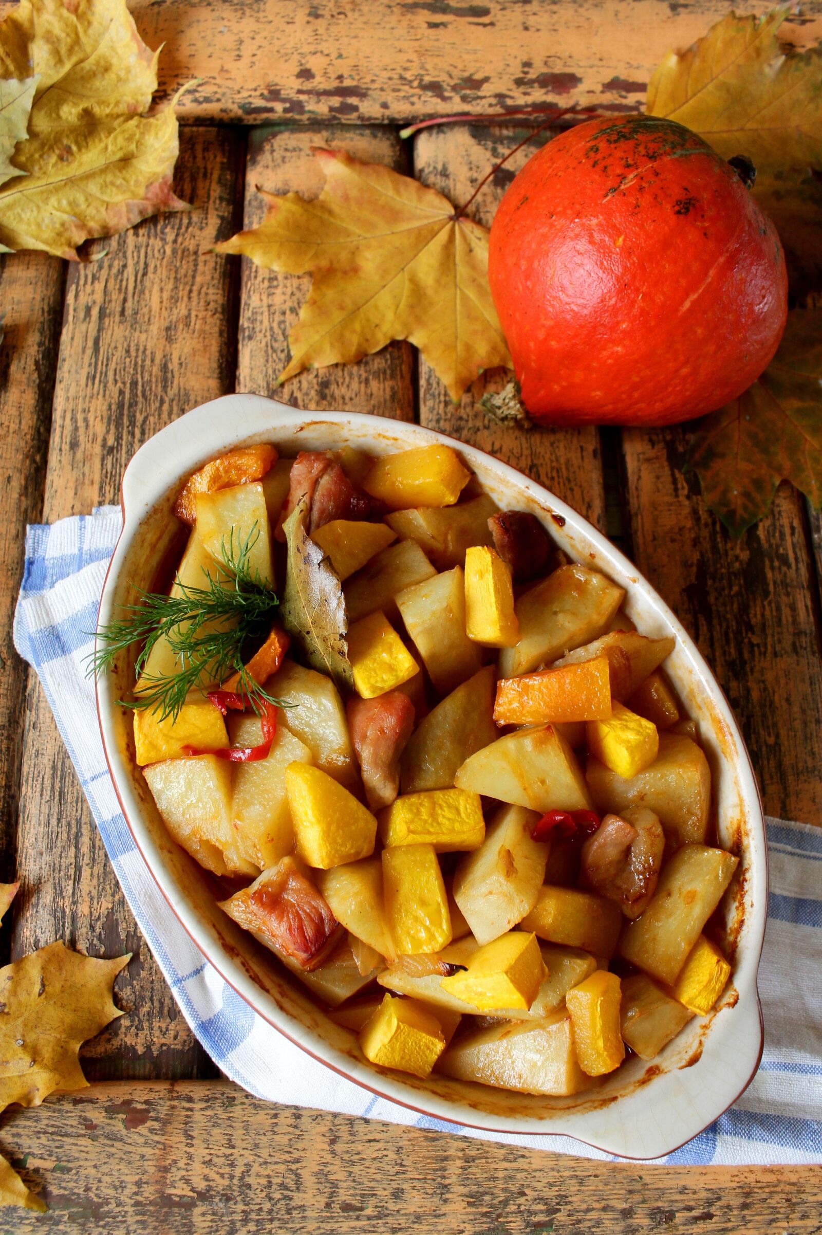 Canon EOS 1100D (EOS Rebel T3 / EOS Kiss X50) sample photo. Roast pumpkin, meat with photography