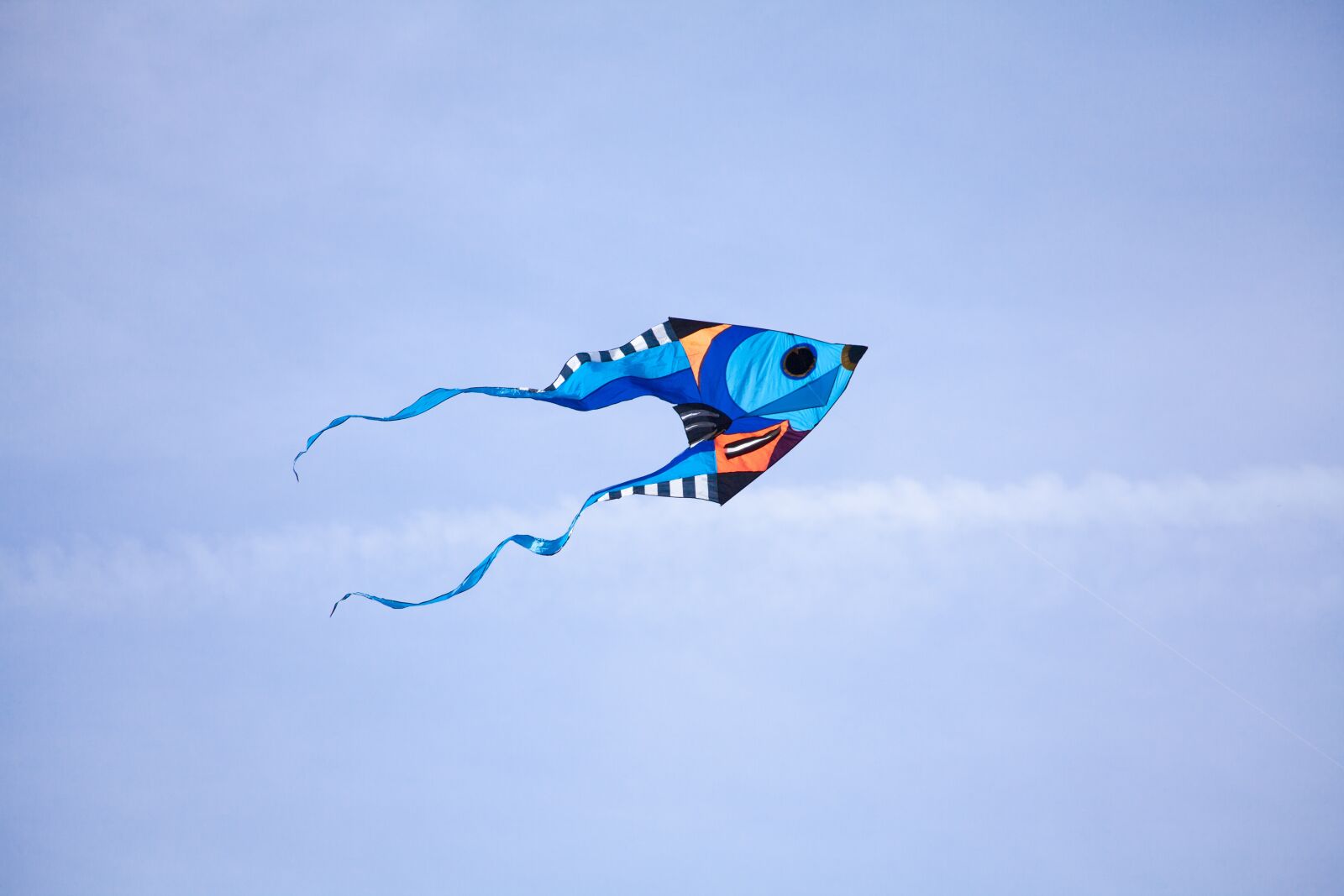 Canon EOS 5D Mark II + Canon EF 70-300mm F4-5.6 IS USM sample photo. Kite, dragon, autumn photography