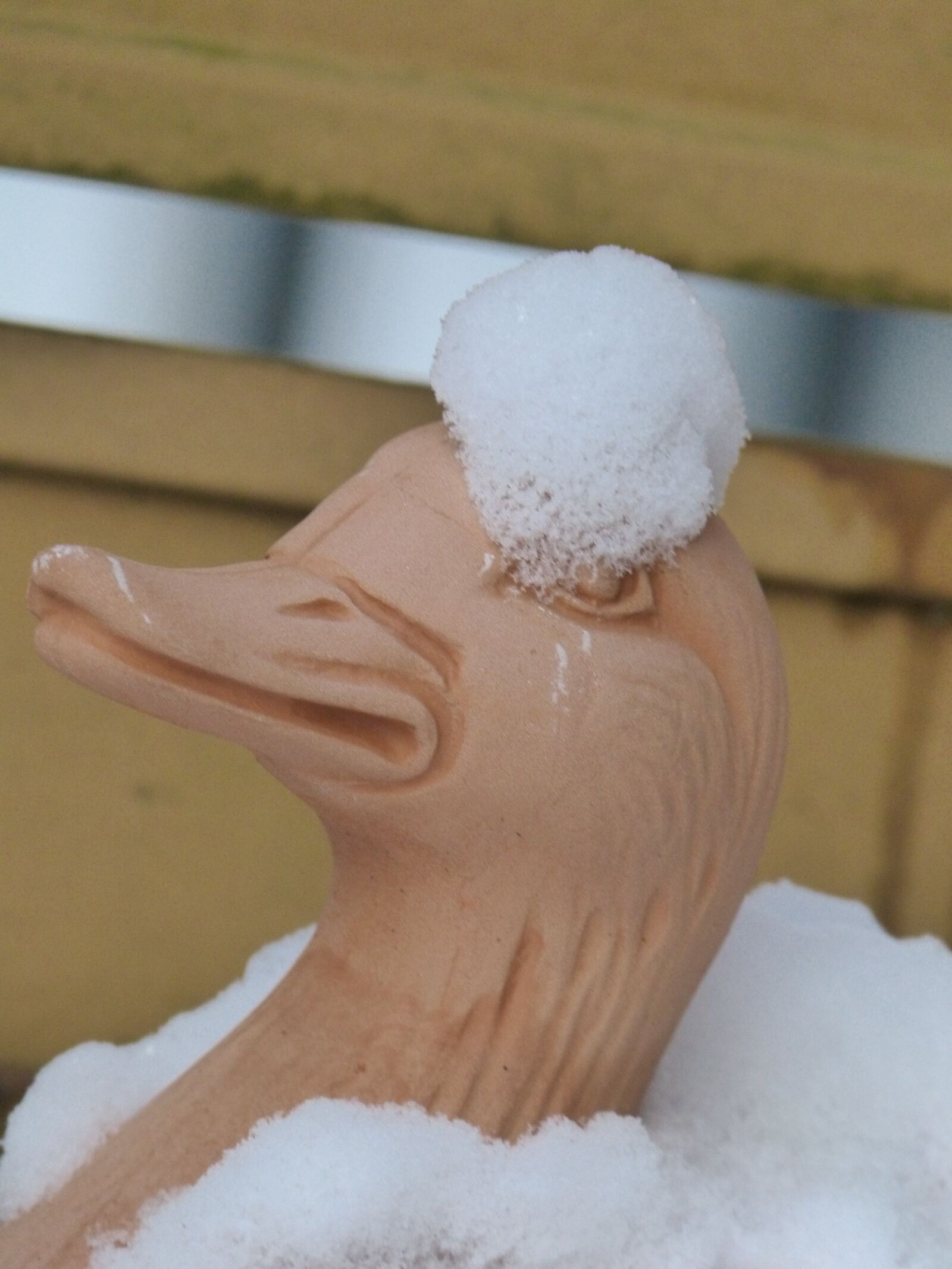 Panasonic DMC-FZ62 sample photo. Winter, snow, duck photography