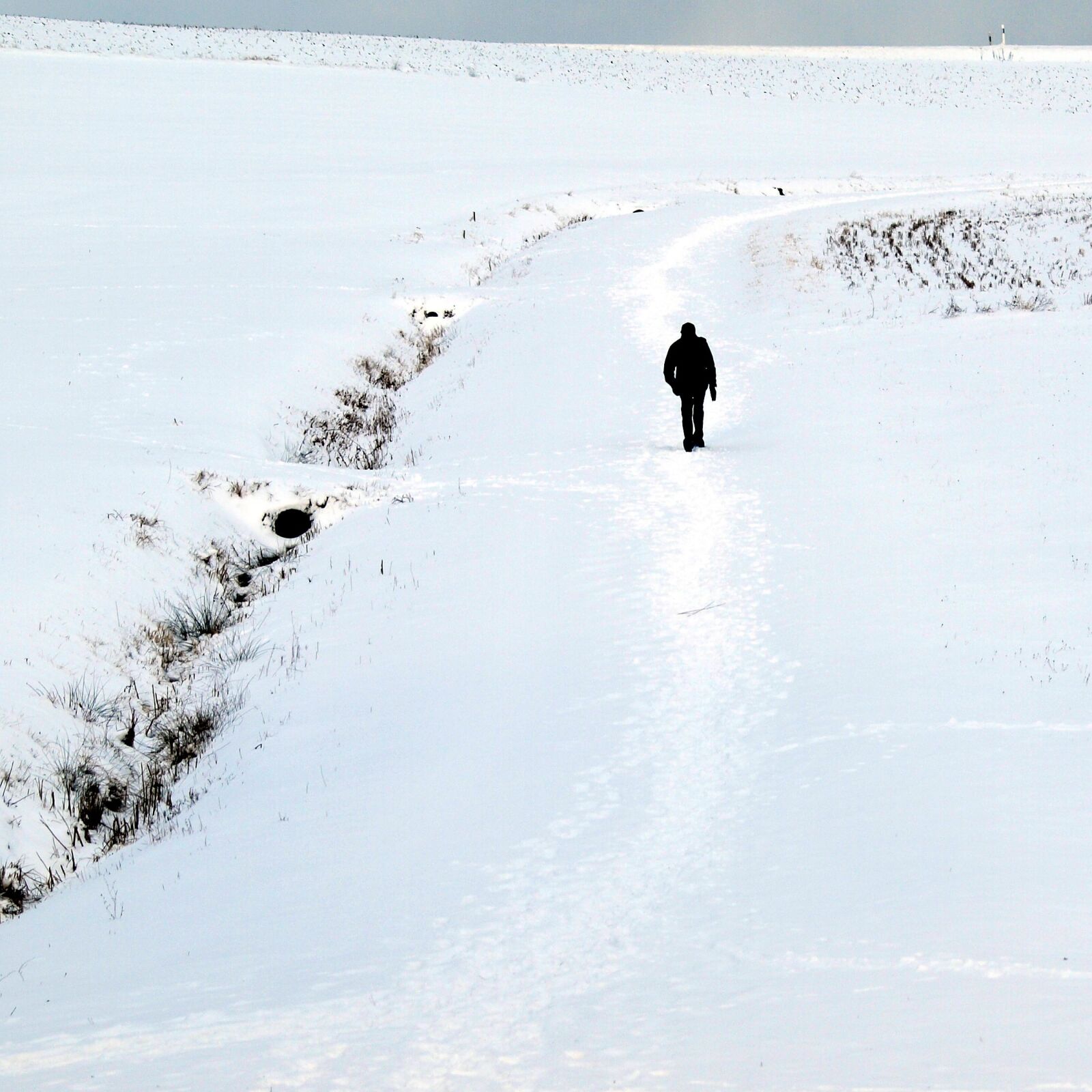 Olympus E-410 (EVOLT E-410) sample photo. Man, walking, snow photography