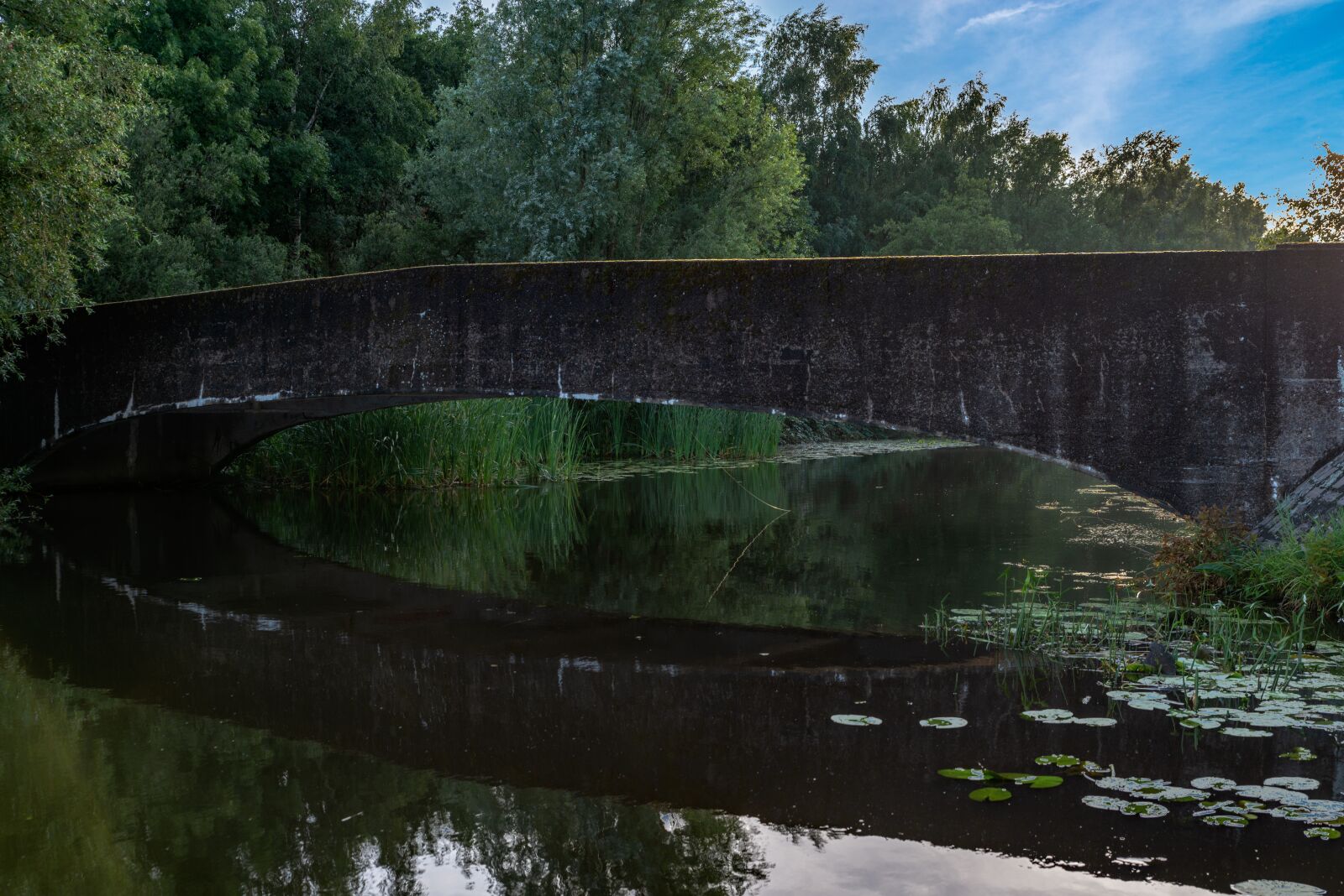 Tamron SP 24-70mm F2.8 Di VC USD sample photo. Bridge, water lilies, water photography
