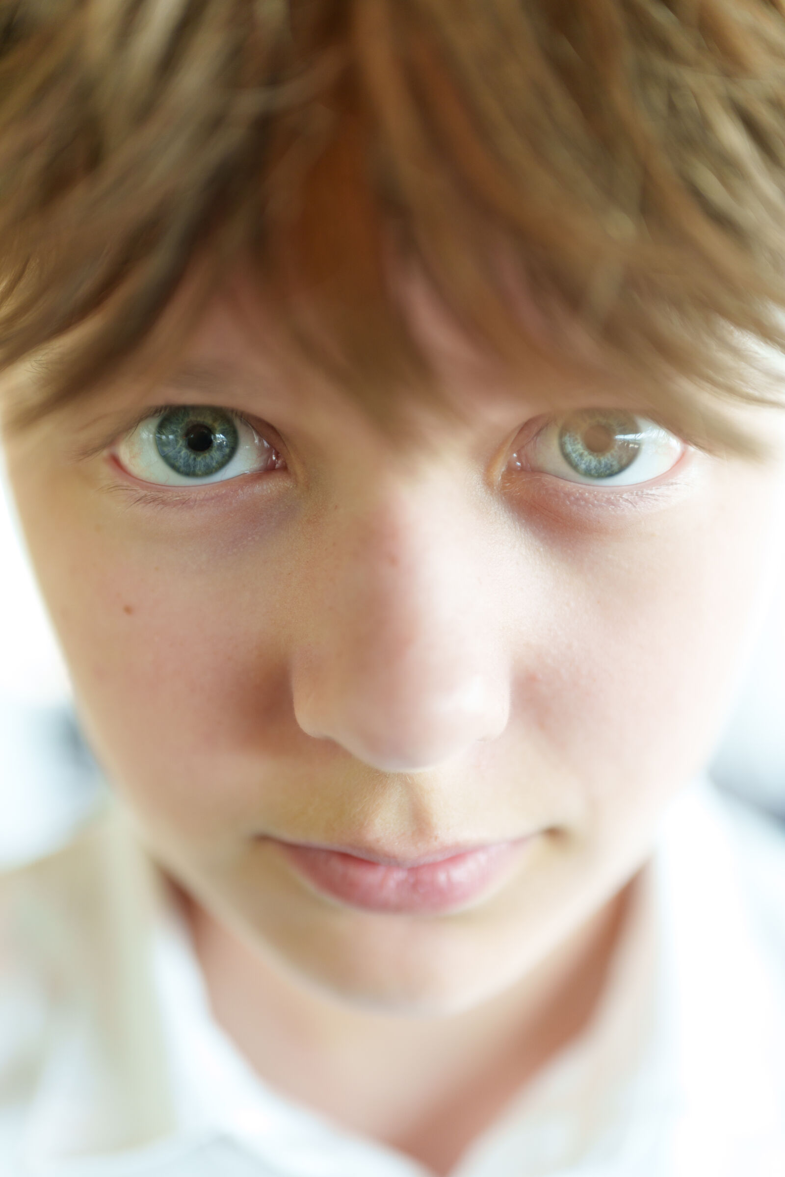 Sigma 28-45mm F1.8 DG DN Art sample photo. The stare photography