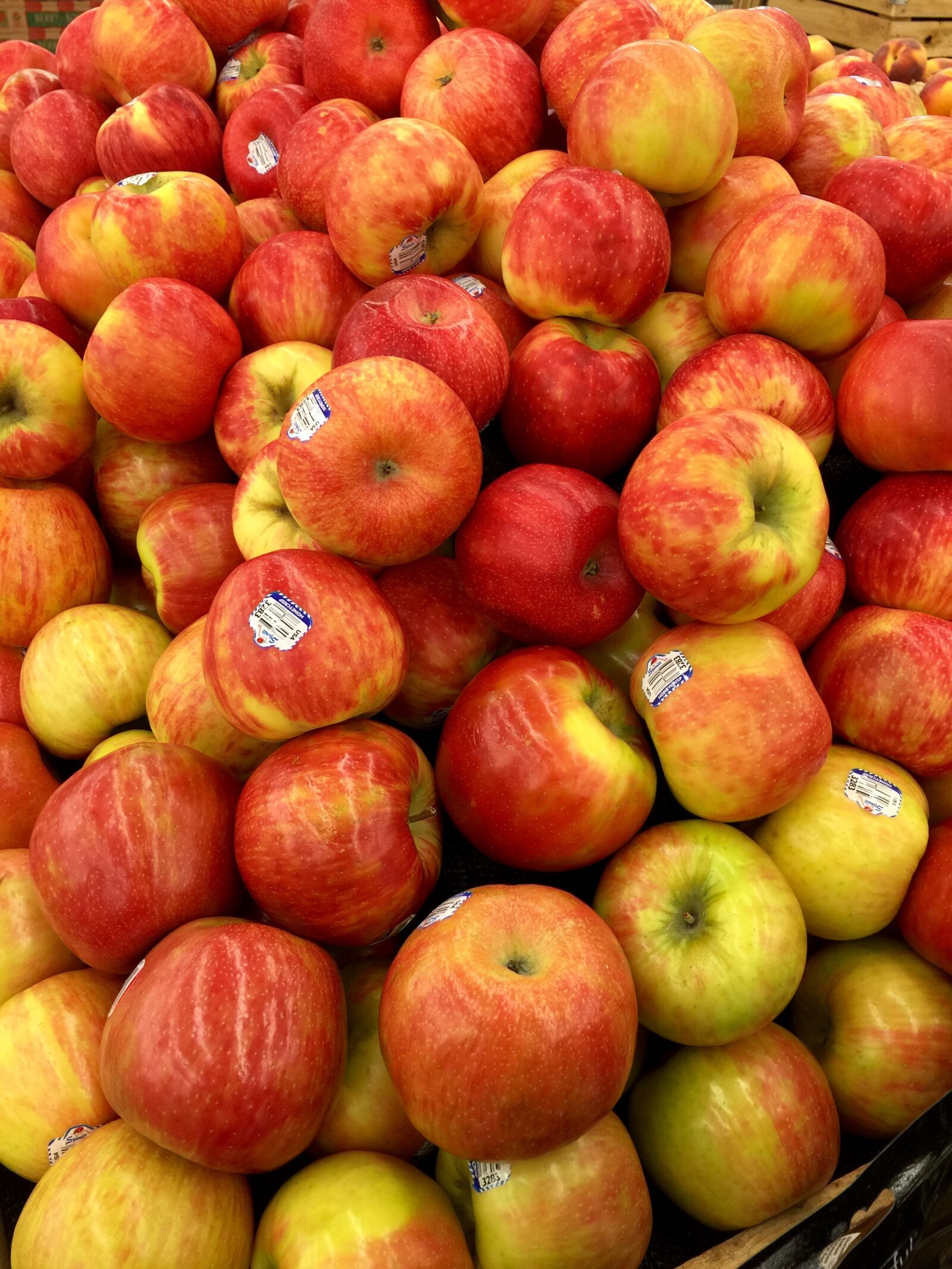 iPhone 6 Plus back camera 4.15mm f/2.2 sample photo. Apple, delicious, fresh, fruit photography