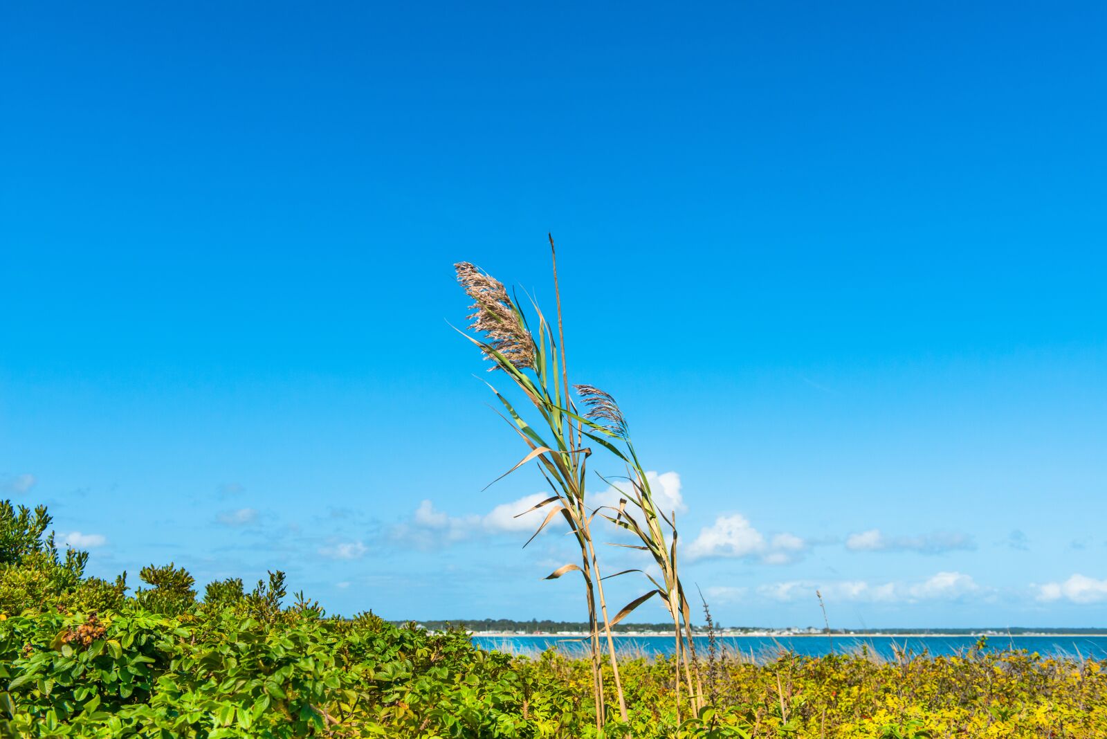 Nikon D800 sample photo. Outdoor, landscape, bluesky photography