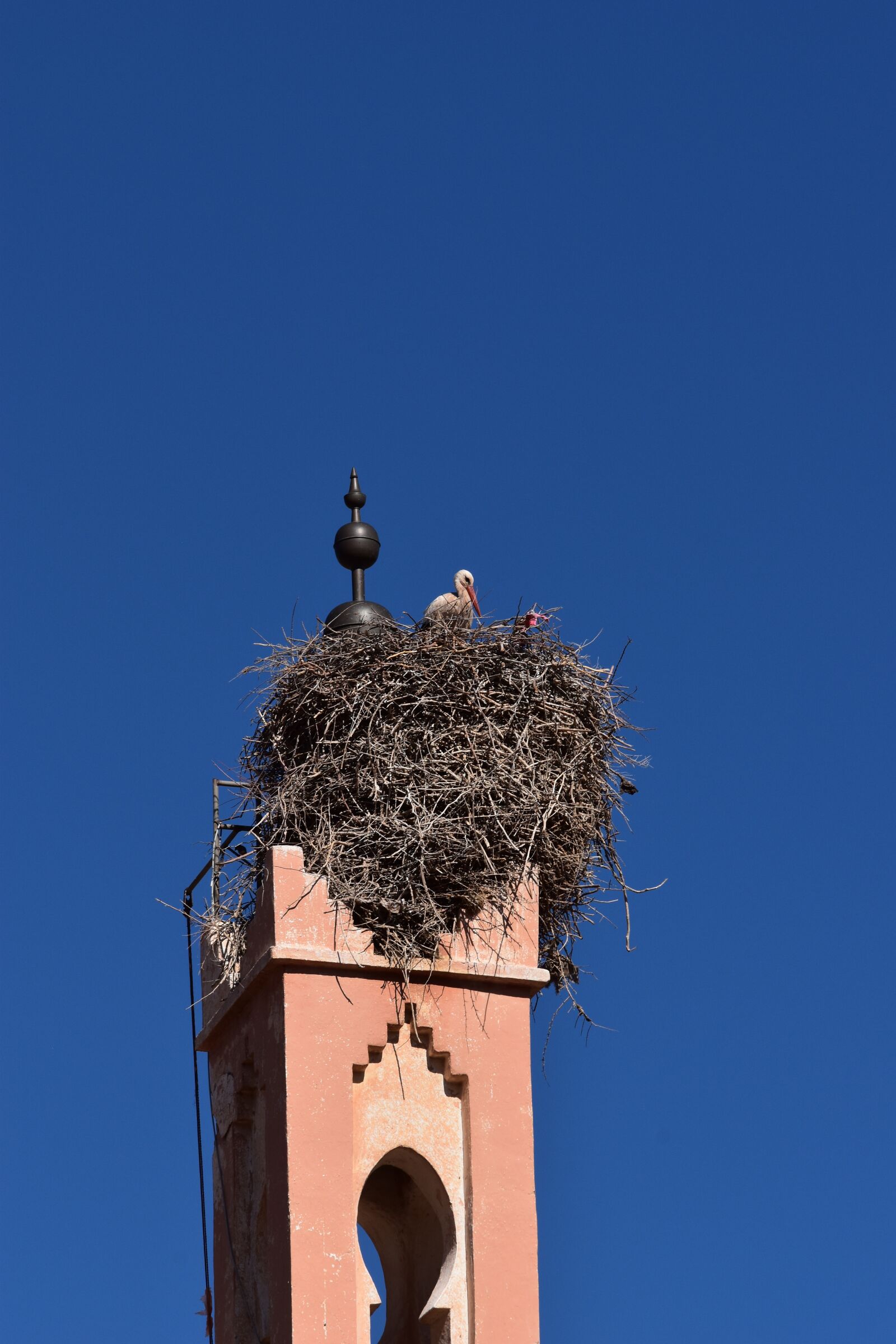 Nikon D5500 sample photo. Sky, stork, nest photography