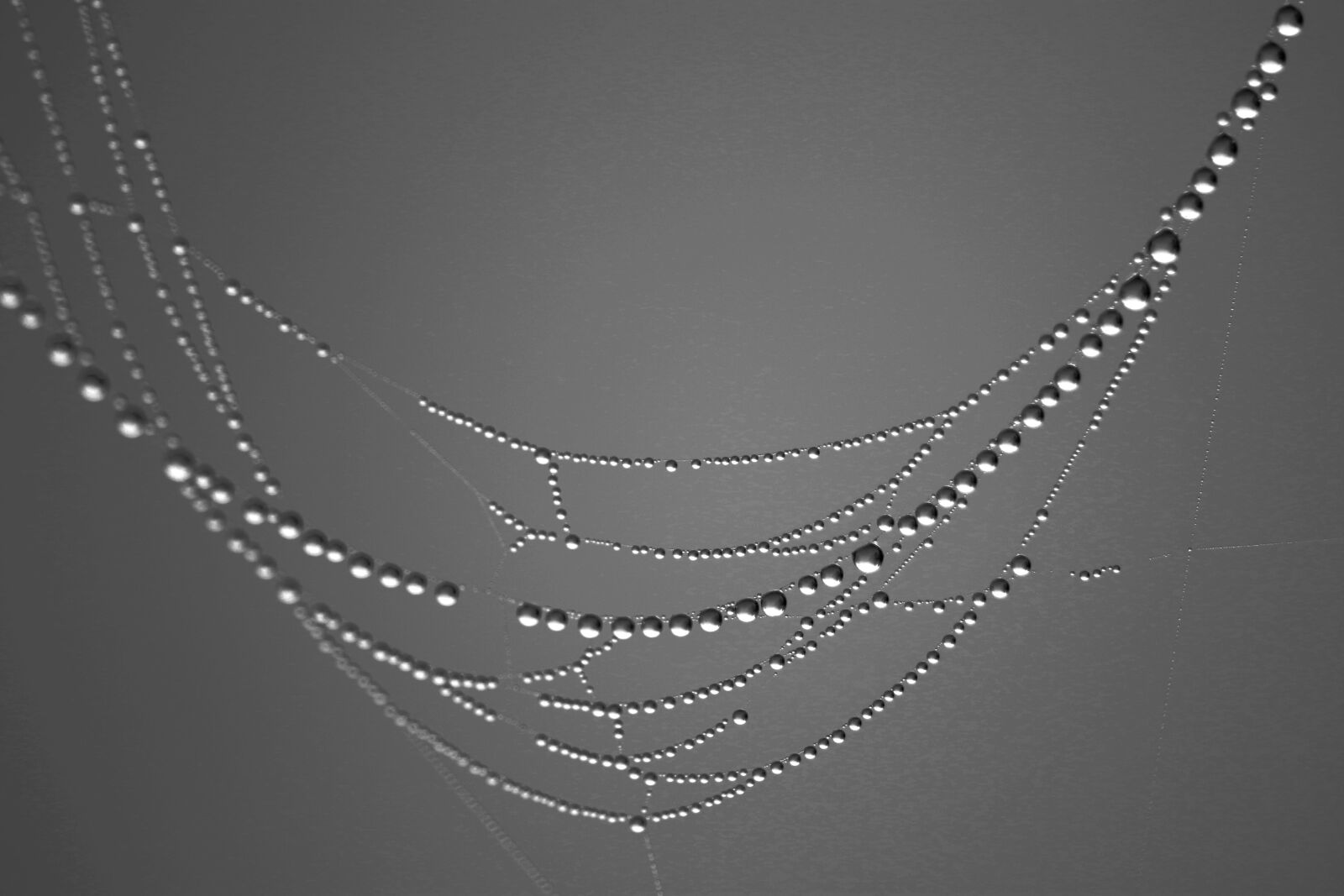 Canon EOS 7D Mark II sample photo. Pearls, drops, dew necklace photography