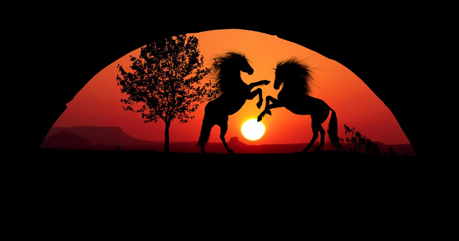 Panasonic Lumix DMC-FZ200 sample photo. Sunset, horses, combat photography