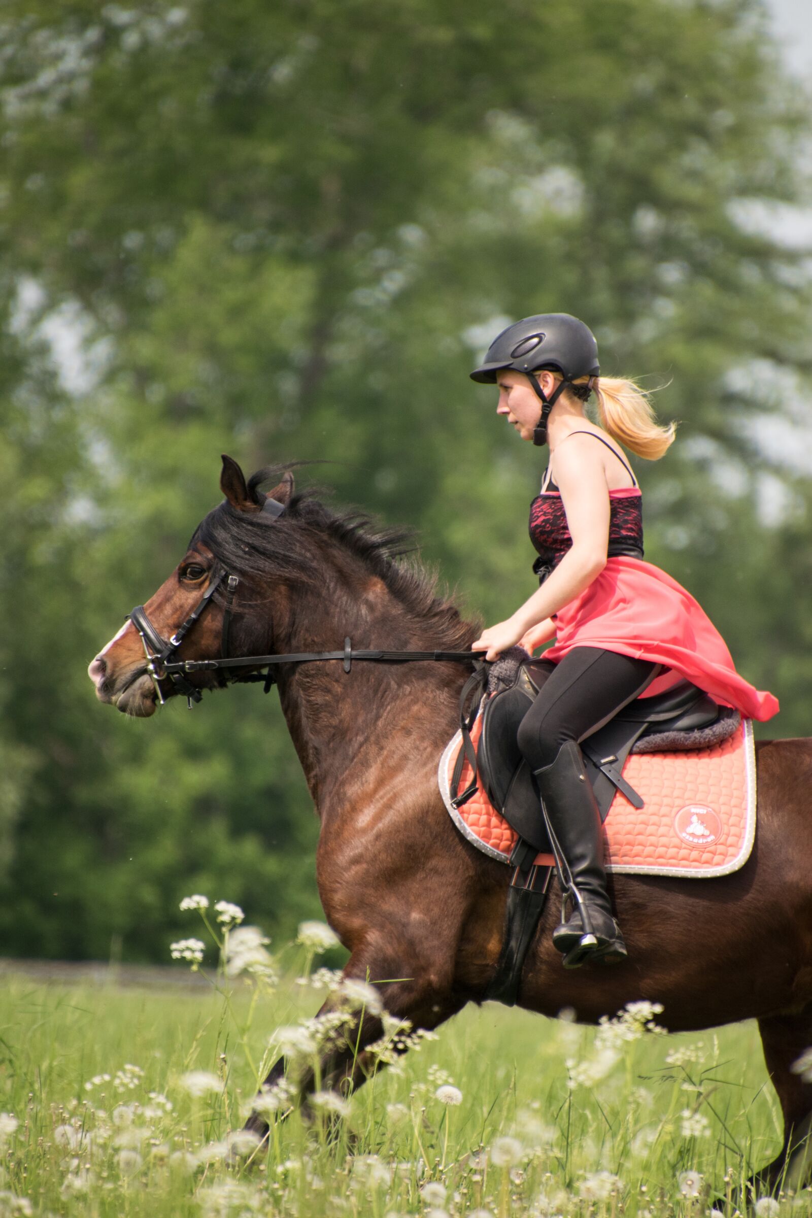 Nikon D3300 sample photo. Ride, white, gallop photography