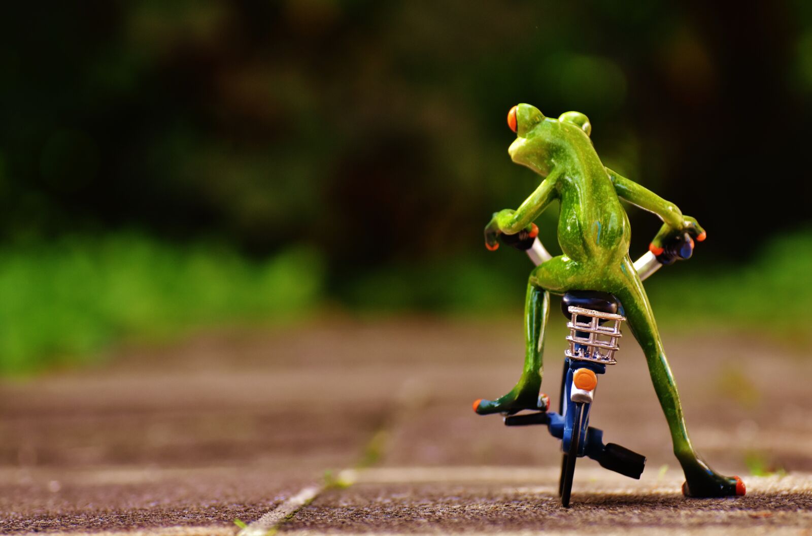 Nikon D7200 sample photo. Frog, bike, funny photography