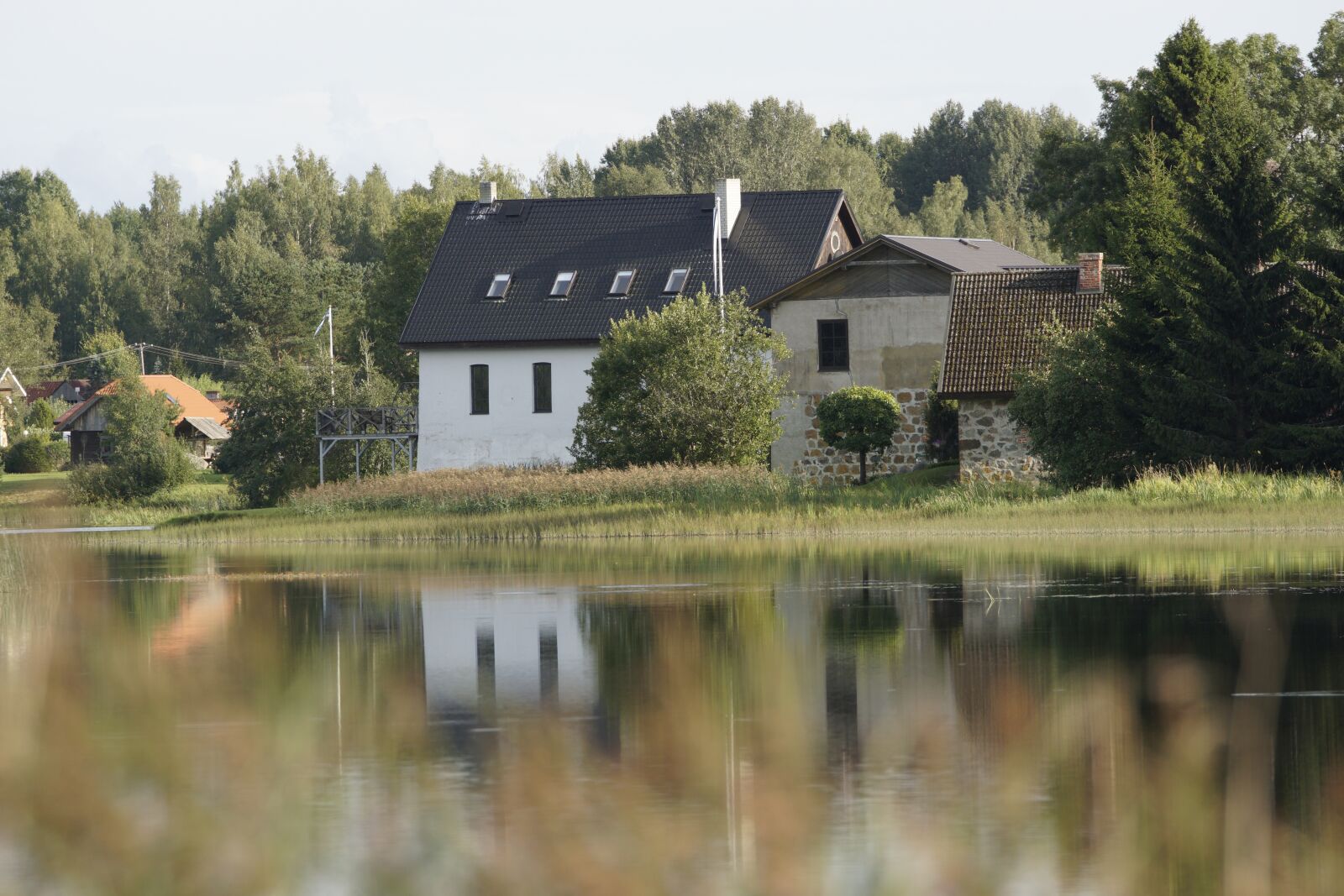 Sony ILCA-77M2 sample photo. Water, green, trees photography