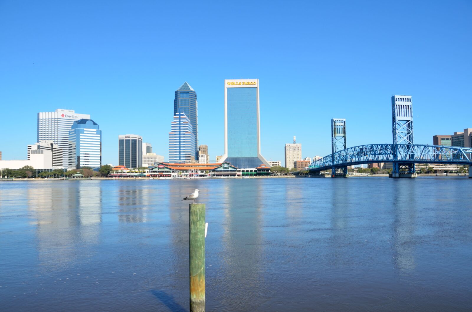Nikon D7000 sample photo. Jacksonville, florida, skyline photography